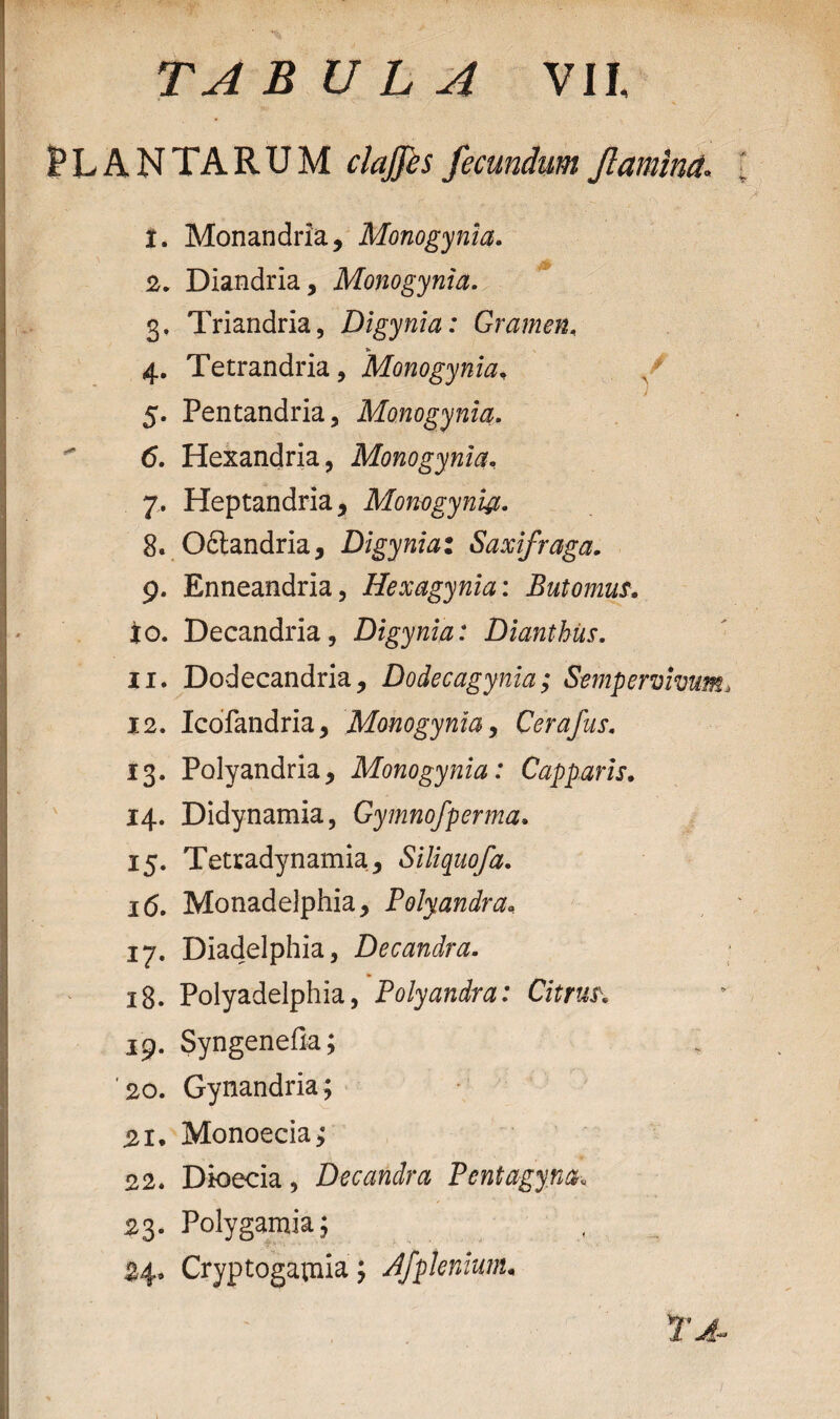 PLANTARUM clajjes fecundum Jlanimet» 2. Monandria, Monogynia. 2. Diandria, Monogynia. 3. Triandria, Digynia: Gramen, 4. Tetrandria, Monogynia, / 1 5. Pentandria, Monogynia.  6. Hexandria, Monogynia, 7. Heptandria, Monogynia. 8. Oftandria, Digynia: Saxifraga. 9. Enneandria, Hexagynia: Butornus. 10. Decandria, Digynia: Dianthus. 11. Dodecandria, Dodecagynia; Sempervivum> 12. Icofandria, Monogynia, Cerafus. 13. Polyandria * Monogynia: Capparis. 14. Didynamia, Gymnofperma. 15. Tetradynamia5 Siliquofa. i(5. Monadelphia, Polyandra> 17. Diadelphia, Decandra. 18. Polyadelphia, Polyandra: Citrus, 19. Syngenefia; '20. Gynandria; 21. Monoecia* 22. Dioecia, Decandra Pentagym, 23. Polygamia; 34. Cryptogavnia; Jfpknium.