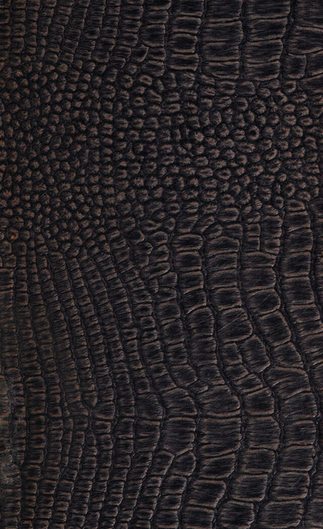 digitised image 1
