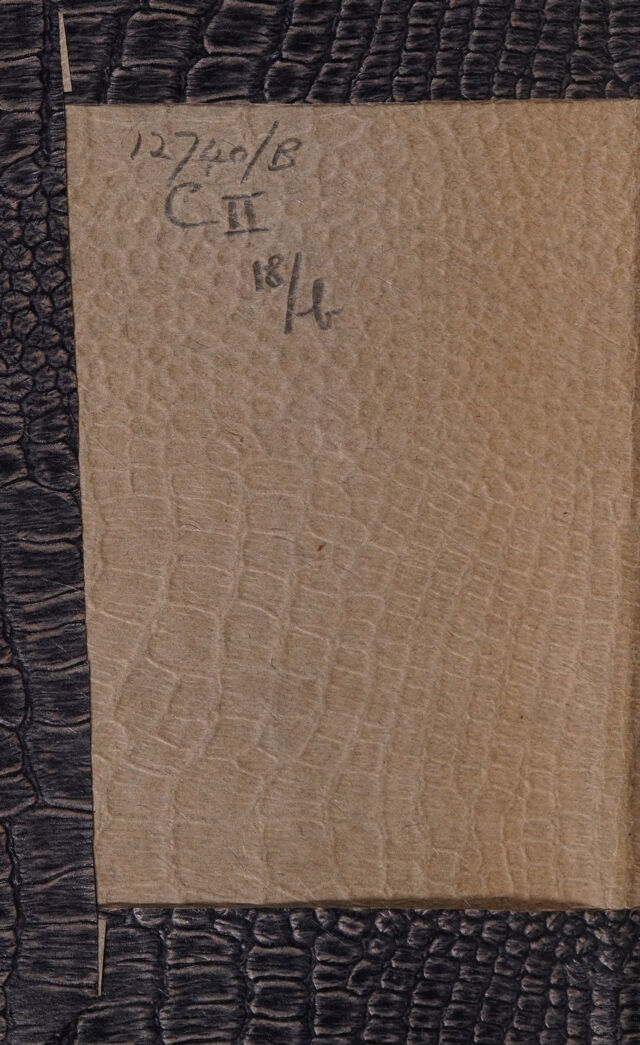 digitised image 2