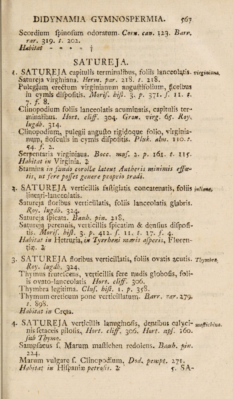 Scordium fpinofum odoratum. Cor», can. 123. Barrf rar. 319. t. 202. HabitaS ~ ~ * - j- SATUREJA. SATURpJA capitulis terminalibus, foliis lanceolgtis. Virginiam. Satureja virghiiana. Herm. par. 218. t. 218. fulegium, eredum virginianum anguftffolium, floribus in cymis difpofitis. JMorift hiji. 3. p. 371./. II. *. 7 .f.S, Clinppodium foliis lanceolatls acuminati, capitulis ter^ ininaHhus. Hort. cliff. 304. Gron. virg. 6$. Roy\ lugdb. 314. Oinopodiumn pulegii anguflo rigidoque folio, vlrginia- ngin, hofculis in cymis difpofjus. Pluk. alm. 110./. 54- /• 2. Serpcntaria virginiaua. Bocc, mff. 2. p. i6j. t. u$. Habitat in Virginia. £ Stamina in fundo corolla latent Antheris minimis ejfoc* tis% ut fere pojfet genere proprio tradi. 2. SATUREJA verticillis fafligiatis, concatenatis, foliis juliam lincari-lanc edatis. Satureja floribus vertidllatk, foliis lanceolatis, glabris. Roy. lugdb. 324. Satureja fpicata. Baub. pin. 218. Satureja perennis, verticillis fpicatim & denfius difpofi- tis. Morif. hift. 3. p. 412. /. U, £. X 7. /. 4. Habitat in Hetru,ria, in 'Tyrrheni matris afperis, Florem tias. £ * '4 3. SATUREJA floribus verticillatis, foliis ovatis acutis. Tbymbt& Roy. lugdb. 324. Thymus frutefeens, verticillis fere nudis globo fis, foli¬ is ovato-lanceolatis. Hort. cliff. 3.06. Thymbra legitima. Cluf. hift. 1. p. 35-8. Thymum creticum pone verticillatuuv Barr. rar. X]% t. 898. Habitat in Crgta. 4. SATUREJA verticillis lanugmafis, dentibus calyci- moftkinna. nisfetaceis pilo fi Hort. cliff\ 306. Hort. npf. 160. fub Thymo. Sampfacus f, Marum maftrehen redolens. B.mh. pin. 224. Marum vulgare f. Clincpodium. T>oft pervpt. 271.