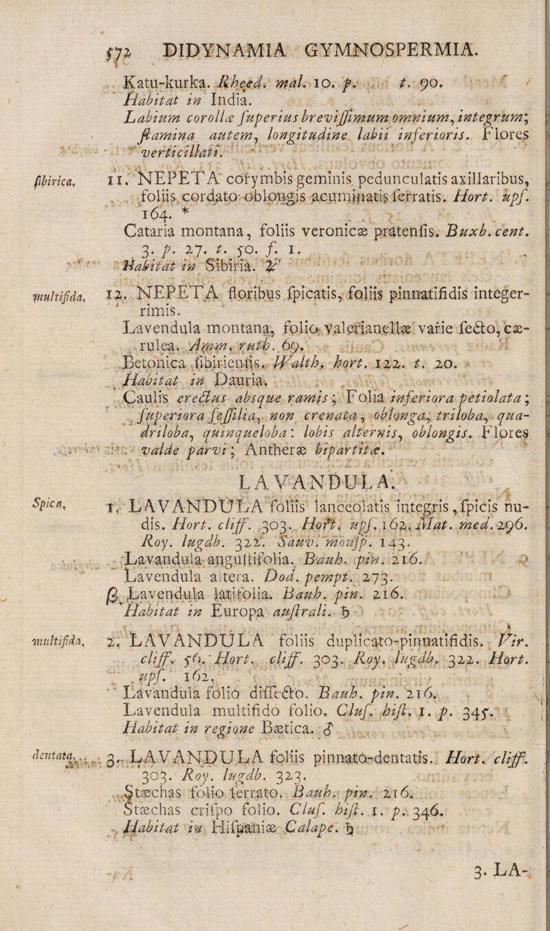 fbirica, -> •* ;• •- multijiddc Spica, multifida. dentata. ., *v> v' m DIDYNAMIA GYMNOSPERMIA. Katu-kurka. ..Rheefl mal.io.p. t. 90. Habitat in India. Labium corollce fuperius brevifllmum owinium, integrum, jj flamina autem, longitudine labii inferioris. Flores verti ciliati. 11. NEPETA corymbis geminis, pedunculatis axillaribus, J foliis cordato-oblongis acuminatis ferratis. Hort. kpf. 164. * Cataria montana, foliis veroniese pratenfis. Buxb.cent. 3. p. ij. t.jp./. 1. Habitat in Sibina. ifl 12. NEPETA floribus fpicatis, foliis pinnatifidis integer¬ rimis. Lavendula montana, folio valefianellae varie fe&o, cae¬ rulea. Amm. ruti). 69. Betonica .flbirieniis. Health, hort, 122. t, 20. _ Habitat in Dauria. Caulis er edus absque ramis ; Folia inferiora petiolata; a fuperiora fefliiiar non crenata, oblonga^ triioba, qua- ■! dnloba, quinqueloba: lobis alternis, oblongis. Flores valde parvi; Antherae bipartita. LAVANDULA*. 1, LAVANDULA foliis lanceolatis integris ,fpicis nu- j dis. Hort. cliff. 303. Hort. upf.j62, Mat. med. zff. Roy. lugdb. 322. $ au v. monfp. 143. Lavanduia anguttifolia. Bauh. pin. 216. Lavendula altera. Dod, pernpt. 273. ^3 Lavendula latifolia. Bauh. pin. 216. Habitat in Europa auflrali. 2. LAVANDULA foliis duplicato-pinnatifldis. /A>. j cliff. f6.' Hort. cliff. 303. Roy. lugdb. 322. Hort. upf. 162. I Lavanduia folio diflTedto. Bauh. pin. 216. X( Lavendula multifido folio, Cluf. hifl. 1. p. 345'. Habitat in regione BeCtica. J' ■. 3. LAVANDULA foliis pinnato-dentatis. A/jf. 303. Roy. lugdb. 323. §taschas folio ferrato. Bauh. pin. 216. Strechas crifpo folio. Cluf. hifl. 1. p. 346. Habitat in Hifpaniae Calape. \