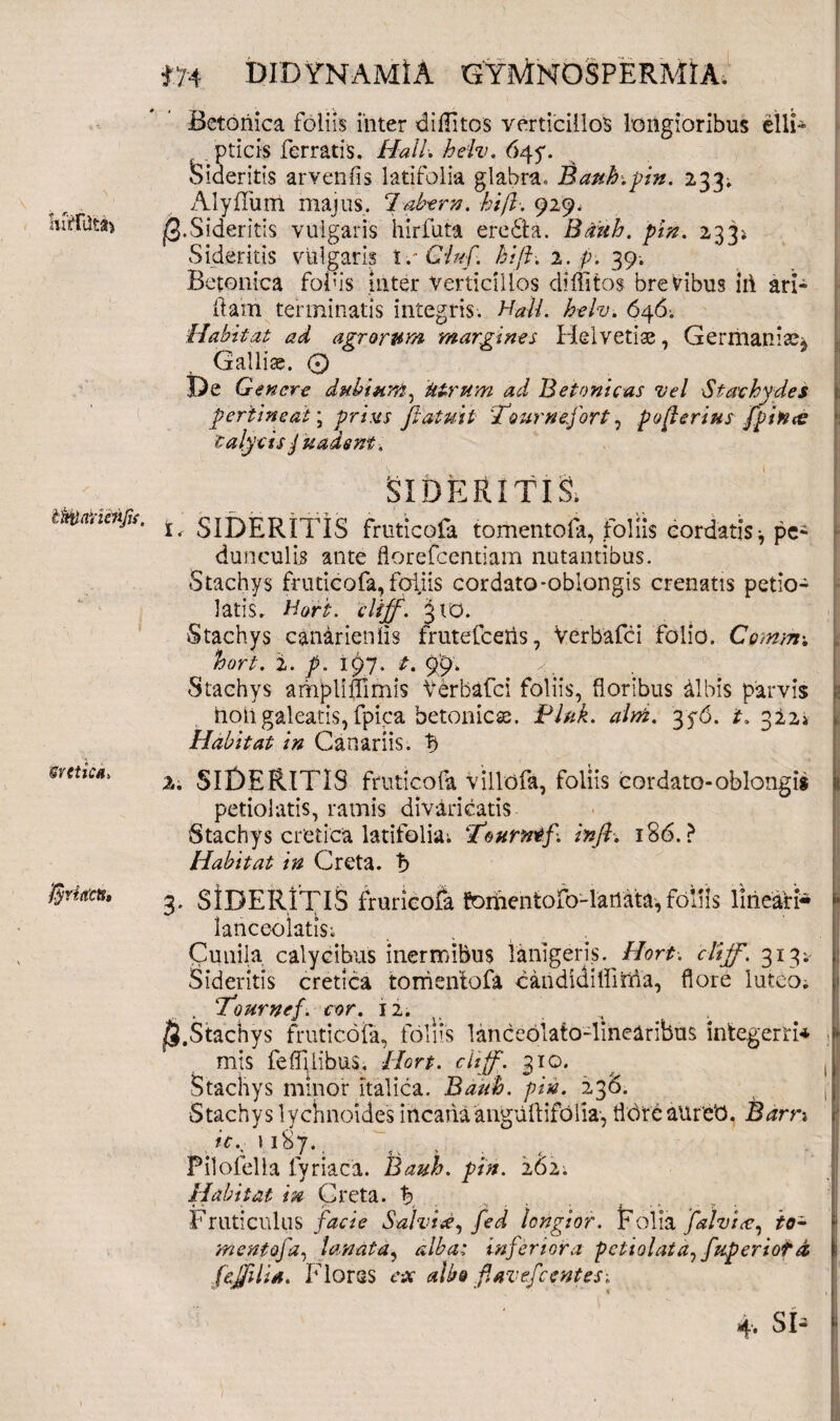 hlffilta* IManaifu. sretica. ffiriitCH, m didynamIA gymnospermia. Betonica foliis Inter diffitos verticillos longioribus elli- pticis ferratis. Hali. heiv. 645*. Sideritis arvenfis latifolia glabra. Bauh-.pin. 233. AlyfTum majus. 7abtrn. hifl■. 929, jQ.Sideritis vulgaris hirfuta ere61:a. Bdiih. pin. 233* Sideritis vulgaris tc Giuf. hift. 1. p. 39. Betonica fofis inter verticillos diffitos brevibus iii ari- ftam terminatis integris. Mali. belv. 646; Habitat ad agrorum margines Helvetiae, Germania^ Galliae. 0 De Genere dubium, 'Utrum ad Betonicas vel Stachydes pertineat; prius ftatuit 'Tournefort, pvfterius fpitice calycis juadsnt. SIDERITIS. 1. SIDERITIS fruticofa tomentofa, foliis cordatis* pe^ dunculis ante florefeentiam nutantibus. Stachys fruticofa,foliis cordato-oblongis crenatts petio- latis. Hort. cliff. 310. Stachys canarienlis frutelceris, Verbafci folio. Comm; hort. i. p. 197. t. 99. Stachys arhpliffimis Verbafci foliis, floribus dlbis parvis f. Uoii galeatis, fpica betonicae. Pluk. alni. 376. t, 312» Habitat in Canariis, b 2. SIDERITIS fruticofa villofa, foliis cordato-oblongis 11 petiolatis, ramis divaricatis Stachys cretica latifolia; ‘Pourntf. inft. 186.? Habitat in Creta. b 3- SIDERITIS fruticofa toriientofo-lartata,foliis lineari* 4 Ianceoiatis; Cunila calycibus Sideritis cretica 'Tournef. cor. : Stachys fruticofa mis feffi.libus. _ / ( Stachys minor Italica. Bauh. pin. 236. Stachys lychnoides incanaanguflifolia, fldreauret). Barri ic.■ 1187. Pilofella lyriaca. Bauh. pin. 262; Habitat in Creta, b Fruticnlus facie Salvid, fed longior. Folia [alvice, io- mentofa, lanata, alba: inferiora pctiolata, fuperiotd ; fejfilia. Flores ex albo flavefeentes-. inermibus lanigeris. Hort. cliff. 313; tomentofa c an di di Hird a, flore luteo. II 2. foliis lanceolato-linearibus integem* f Hort. cliff. 210. 4. SIa “