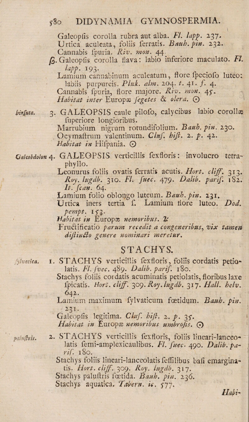 birfnta. Galtoh dolon /ylvatica. pdufris. y8o DIDYNAMIA GYMNOSPERMIA. Galeopfis corolla rubra aut alba. FI. lapp. 237. Urtica aculeata, foliis ferratis. Bauh. pin. 232. Cannabis fpuria. Riv. mon. 44. $. Galeopfis corolla flava: labio inferiore maculato. FI. lapp. 193. Lamium cannabinum aculeatum, flore fpeciofo luteo; labiis purpureis. Pluk. alrn. 204. t. 41. f. 4. Cannabis fpuria, flore majore, Riv. mon. 45*. Habitat inter Europae Jegetes & olera. 0 3. GALEOPSIS caule pilofo, calycibus labio corollas fuperiore longioribus. Marrubium nigrum rotundifolium. Bauh. pin. 230. Ocymaftrum valentinum. Cluf. hifi. 2. p. 42. Habitat in Hifpatlia.. 0 4. GALEOPSIS verticillis fexfloris: involucro tetra- phyllo. Leonurus foliis ovatis ferratis acutis. Hort. cliff. 313. Roy. lugdb. 310. FI. fuec. 479* Dalib. parif 1S2. It. fcan. 64. Lamium folio oblongo luteum. Bauh. pin. 231* Urtica iners tertia f. Lamium flore luteo. Dod. pempt. Habitat in Europas nemoribus. Ta Fnnftiricatio parum recedit a congeneribus, vix tamen diflindio genere nominari meretur. STACHYS. 1. STACHYS verticillis fexfloris, foliis cordatis petio latis. Fl.fvec. 489. Dalib. parif. 180. Stachys foliis cordatis acuminatis petiolatis, floribus laxe fpicatis. Hort. cliff. 309. Roy .lugdb. 317. Hali. helv. 642. Lamium maximum fylvaticum foetidum. Bauh. pin. 2.31. Galeopfis legitima. Cluf. hift. 2. p. 3y. Habitat in Europa nemoribus umbrojis. 0 2. STACHYS verticillis fexfloris, foliis lineari-lanceo- latis femi-amplexicaulibus. FI. fuec. 490. Dalib. pa¬ rif. 180. Stachys foliis lineari-lanceolatis feffilibus bafi emargina¬ tis. Hort. cliff. 309. Roy. lugdb. 317. Stachys paluflris foetida. Bauh. pin. 236. Stachys aquatica. Fabern. ic. 5-77. Habi-