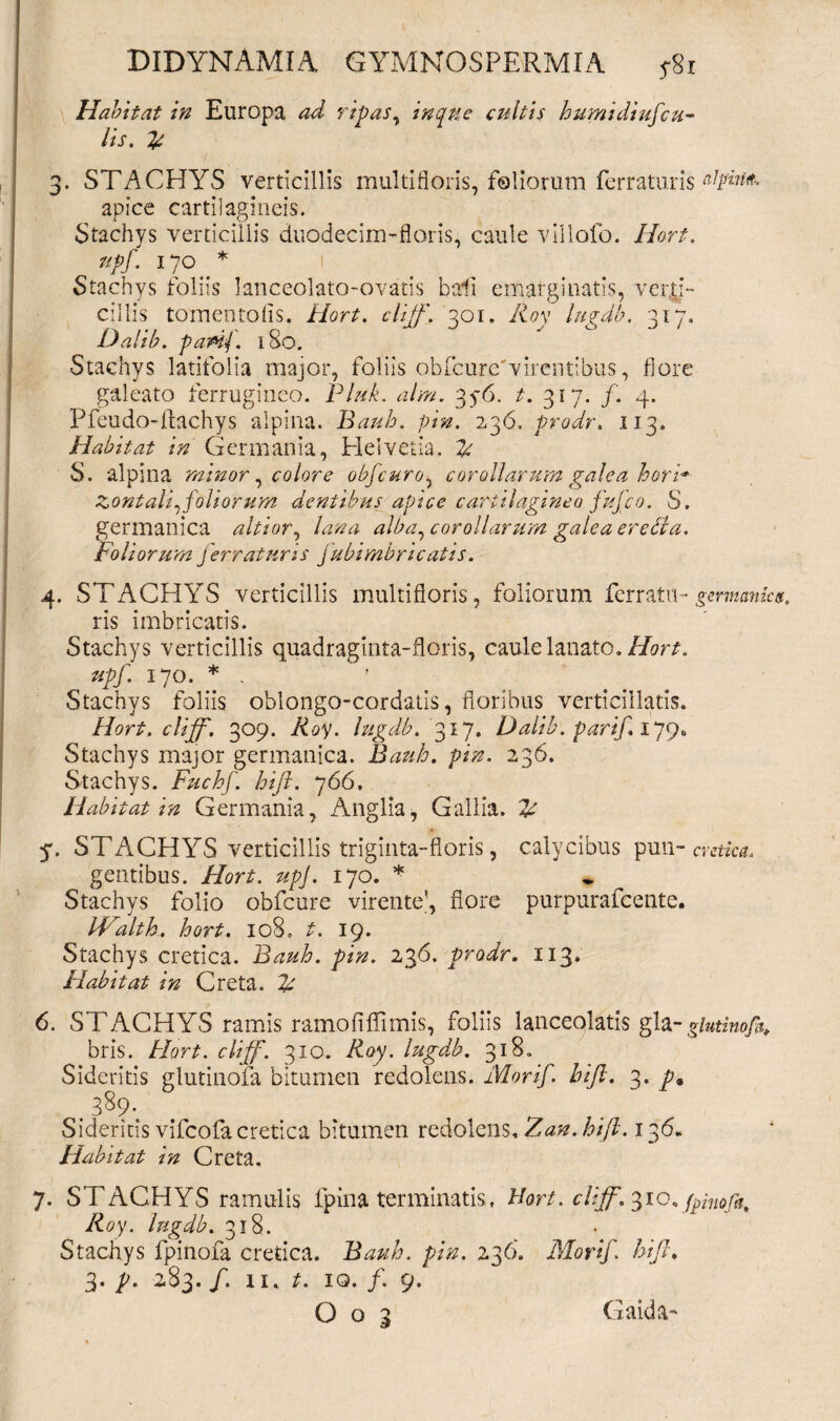 Habitat in Europa ad ripas, in que cultis humidiufcu¬ lis. £ 3. STACHYS verticillis multifloris, foliorum ferraturis apice cartilagineis. Stachys verticillis duodecim-floris, caule villofo. Hort. upf. 170 * 1 Stachys foliis lanceolato-ovatis bcrfi emarginatis, verti¬ cillis tomentofis. Hort. cliff. 301. Roy lugdb. 317. Dalib. paPtf. 180. Stachys latifolia major, foliis obfcure'virentibus, flore galeato ferrugineo. Pluk. alm. 35-6. t. 317. f. 4. Pfeudo-ftachys alpina. Bauh. pin. 236, prodr. 113. Habitat in Germania, Helvetia. S. alpina minor, colore obfcuro^ corollarum galea hori* Zontali, foliorum dentibus apice cartilagineo fufco. S. germanica altior, lana alba, corollarum galea erefia. Foliorum ferraturis fubimbricatis. 4. STACHYS verticillis multifloris, foliorum ferratu-gmnanka, ris imbricatis. Stachys verticillis quadraginta-floris, caule lanato. Hort. upf. 170. * . Stachys foliis oblongo-cordatis, floribus verticillatis. Hort. cliff. 309. Roy. lugdb. 317. Dalib. parif. 179» Stachys major germanica. Bauh. pin. 236. Stachys. Fuchf. hifi. 766. Habitat in Germania, Anglia, Gallia. j*. STACHYS verticillis triginta-floris, calycibus pun- cretica. gentibus. Hort. upj. 170. * Stachys folio obfcure virente’, flore purpurafeente. IValth. hort. ic8. t. 19. Stachys cretica. Bauh. pin. 236. prodr. 113. Habitat in Creta. £ 6. STACHYS ramis ramofiflimis, foliis lanceolatis gla-giutinofi, bris. Hort. cliff. 310. Roy. lugdb. 318. Sideritis glutinofa bitumen redolens. Morif. hifi. 3. p* . 389- Sideritis vifeofa cretica bitumen redolensfZan.hift. 136. Habitat in Creta. 7. STACHYS ramulis lpina terminatis. Hort. cliff. 310. fpinofa, Roy. lugdb. 318. Stachys fpinofa cretica. Bauh. pin. 236. Morif. hifi, 3. p. 283. /. xi. t. iq. /. 9.