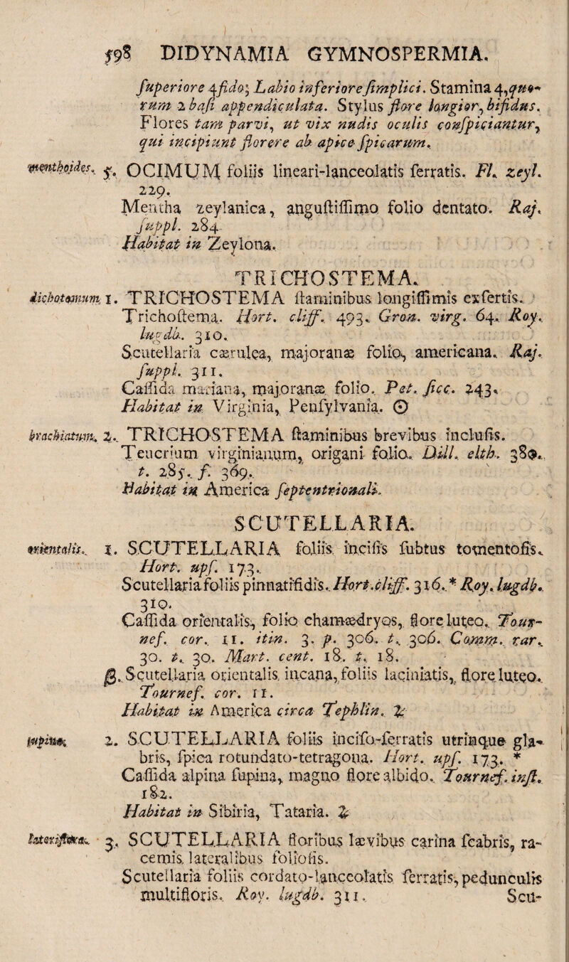 wmthoides» Hcbatmuim kvachiatimt:. mentalis* founjt&a*. ■ f?5 DIDYNAMIA GYMNOSPERMIA. fuperiore Labio inferior efimplici. Stamina 4 rum 2 b a fi appendi cui at a. Stylus flore longior y bifidus. Flores tam parvi, ut vix nudis oculis confpiciantury qui incipiunt florere ab apice /picarum. $. OCIMUM foliis lineari-lanceolatis ferratis. FL zeyL 229, Mentha fceylanica, anguflilfimo folio dentato. Raj. fuppl. 284 Habitat in Zeylona. TRICHOSTEMA* x. TRICHOSTEMA flaminibus longitftmis ex fertis. Trichoftema. Hort. cliff. 493,. Gron. virg. 64. Roy. lugdb. 3x0. Scuteilaria caerulea.,, roajoranae folio*, americana. Raj. fuppl. 311. Callida mariana, maj.oranrs folio. Pet. fice. 243«, Habitat m Virginia, Pcnfylvania, © 2.. TRICHOSTEMA flaminibus brevibus inclufts. Teucrium virginianum, origani folio. DHL. elth. 38$,., t. 28 y. /. 369.. Habitat in, America fcptentrionalk SCUTELLARIA. I. SCUTELLARIA foliis, incilis fuhtus tomento Es* Hort upfl 1 7 3 Scuteilaria foliis pinnatift&fc.Hvrt.cliff. 316.* Roy. Ingdb. 31Q. Calfida orientalis, folio chamcedryos, fl ore luteo.. 5?o.ut- nef. cor., ii. itin. 3. p. 306. tK 306. Cotnw. rarK 30. t. 30. Mart. cent. 18. t. 18. Scuteilaria orientalis, incana, foliis laciniatis, flore luteo. ‘Tournef. cor. 11. Habitat m America circa Tfephlin, L z. SCUTELLARIA foliis incifo-ferratis utrinque gla^ bris, fpica rotunda to-tetragoua. Hort. upfl. 173. * Callida alpina lupina, magno flore albido.. Tournef/mfi. 182. Habitat 'm Sibina, Tataria. & 3. SCUTELLARIA floribus laevibus carina feabris, ra¬ cemis. lateralibus foliolis. Scuteilaria foliis cordato-lanceolatis ferratis, pedunculis multifloris, Roy. lugdb. 311, Scu-