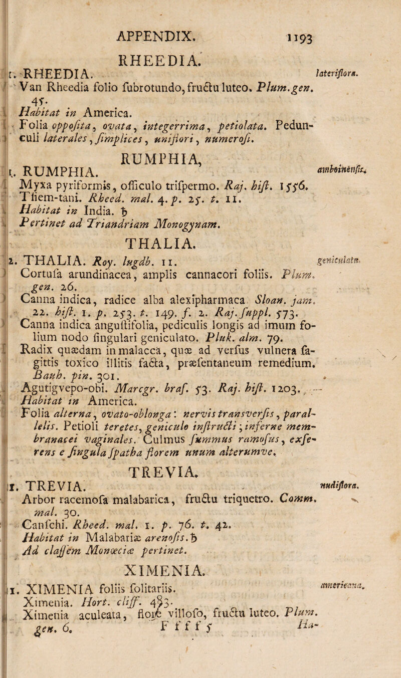 / ? i i i i -a i ) > ) I APPENDIX. 1193 RHEEDIA. t. RHEEDIA. laUrifiortt. vVan Rheedia folio fubrotundo, frudi u luteo. Plum.gen. AS; Habitat in America. Folia oppofita, ovata, integerrima, petiolata. Pedun¬ culi laterales ,fimplices, uniflori, numerofi. RUMPHIA, r. RUMPHIA. awboininfa Myxa pyriformis, officulo trifpermo. Raj. hijl. \SS& Tiiem-tani. Rheed. raal.q.p. 25*. 11. Habitat in India. 1j P ertinet ad Triandriam Monogynam. THALIA. I. THALIA, lugdb. II. gmkukin> Cortufa arundinacea, amplis cannacori foliis. Pium, gen. 26. Canna indica, radice alba alexipharmaca vS7<?^. 22. hift. 1. 253. t. 149. /. 2. Raj.fuppl. 5-73. Canna indica angultifolia, pediculis longis ad imum fo¬ lium nodo lingulari geniculato. Pluk. alm. 79. Radix quasdam inmalacca, quae ad verfus vulnera fa- gittis toxico illitis fadta, praefentaneum remedium. Bauh. pin. 301. Agutigvepo-obi. Marcgr. braf. 53. Raj. hijl. 1203. Habitat m America. Folia alterna, ovato-oblonga : nervis transverfis, paral¬ lelis. Petioli teretes, geniculo inflrudti ; inferne mem¬ branacei vaginales. Culmus furamus ramofus, exfe- rens e Jingula Jpatha florem unum alterumve. TREVIA* I. TREVIA. . nudifiora. Arbor racemofa malabarica, frudlu triquetro. Comm. v raal. 30. Canfehi. Rheed. mal. 1. p. 76. t. 42. Habitat in Malabarise arenofis,t> Ad clajjem Monoecice pertinet. XIMENIA. 1. XIMENIA foliis folitariis. Ximenia. Hort.cliff. 453-. Ximenia aculeata, florfc villofo, frudtm luteo. nmtricvui. r Plura.