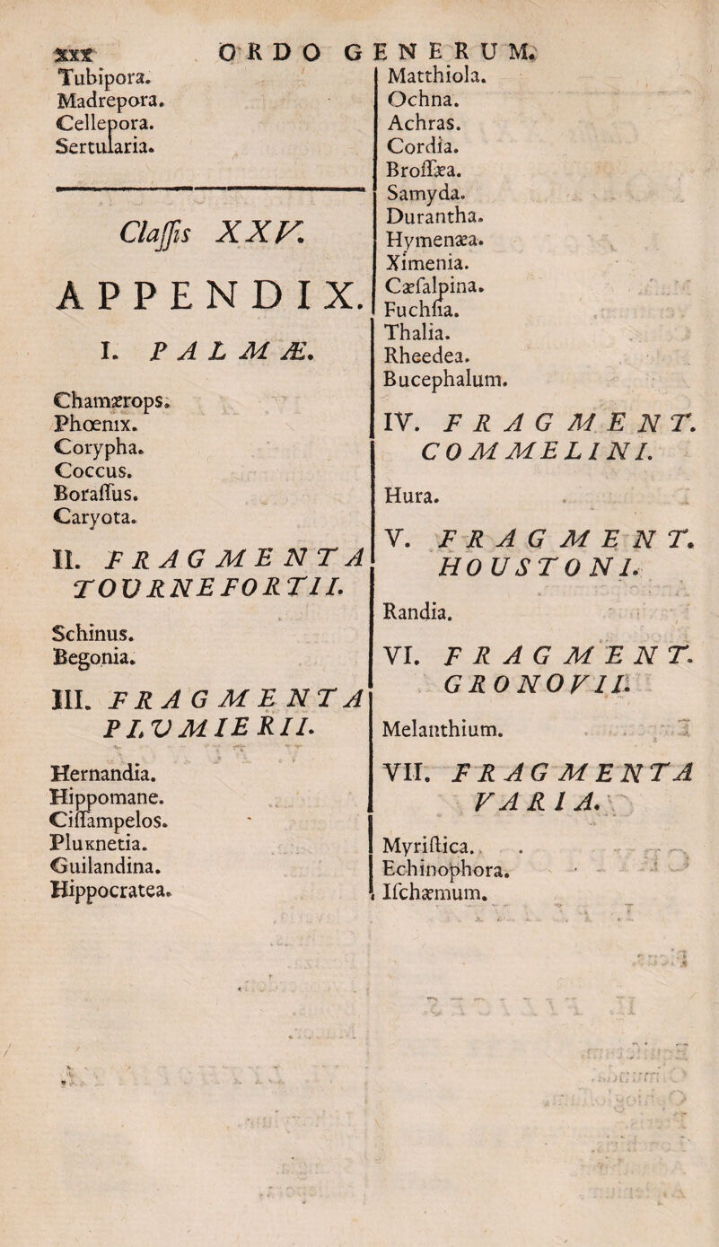 Xxt ORDO Tubipora. Madrepora. Cellepora. Sertularia. Claffis XXV APPENDIX. I. P A L M JE. Chamserops. Phoenix. Corypha. Coccus. BorafFus. Caryota. II. FRAGMENTA TOVRNEEORT1I. Schinus. Begonia. III. FRAGMENTA PI.VMIERII. ' - r*'- ^ •*»* v. V . » * Hernandia. Hippomane. CifTampelos. PluKnetia. Guilandina. Hippocratea. GHNERU M. Matthiola. Ochna. Achras, Cordia. BroiTea. Samyda. Durantha. Hy menaea. Ximenia. Caefalpina. Fuchna. Thalia. Rheedea. Bucephalum. IV. FRAGMEN T. C 0 Ai ME Ll N L Hura. V. F R A G M E N T. HO USTO NI. Randia. VI. F R A G ME NT GRO NOVIT Melanthium. VII. F RAG MENTA VARIA. Myriftica. Echinophora. Ifchaemum.