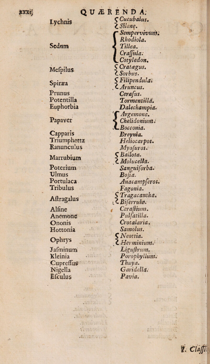 lychnis Q Sedum Mefpilus Spiraea Prunus Potentilla Euphorbia Papaver Capparis Triumphetta Ranunculus Marrubium Poterium Ulmus Portulaca Tribulus Aftragalus Alfine Anemone’ Ononis Hottonia Ophrys U^RENDA; $ Cucubalus, <C Silene. {Sempervivum: Rhodiola. Tillea. Crajjula; Cotyledon• $ Cratagus. C Sorbus. $ Filipendula: t c. Aruncus. Cerafus. Tormentilld. Dalechampia* ' Arg emone. ChelidoniurfU Bocconia. Breynia. HeliocarpoSi, Myofuros. fBailota. Molucella. Sanguiforba. Boji a. AnacampferoSo Fagoni a. $ Tragacantha• C Biferrula» Cerajlium. Pulfatilla. Crot alaria» Samolus. C Neottia. CHerminiunh i Jafminum Kleinia CuprefTus Nigella Efculus Liguftrumr PorophyllunU Thuya. Gari delicte Pavia.