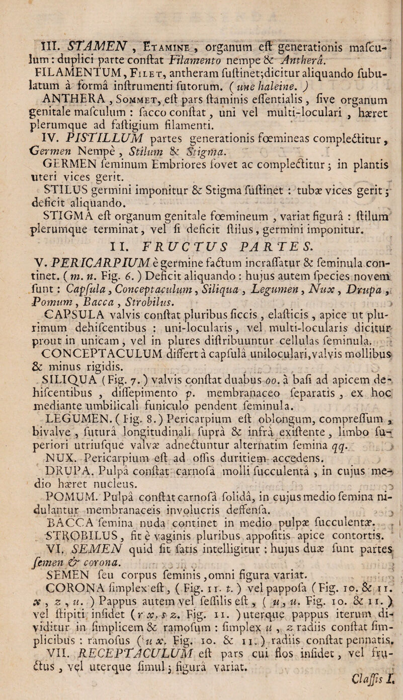 III. STAMEN , Etamine , organum efl generationis mafcu- lum: duplici parte conftat Filamento nempe & Anthera. FILAMENTUM,Filet, antheram fuftinet;dicitur aliquando Tubu¬ latum a forma inftrumenti Tutorum. ( une haleine. ) ANTHERA , Sommet, eft pars ftaminis effentialis , five organum genitale maTculum : Tacco conftat, uni vel muiti-loculari , haeret plerumque ad faftigium filamenti. IV. PISTILLUM partes generationis Toemineas compledfitur, Germen Nempe , Stilum fk Stigma. GERMEN feminum Embriores Tovet ac compleditur j in plantis uteri vices gerit. STILUS germini imponitur & Stigma Tuftinet : tubae vices gerit y deficit aliquando. STIGMA eft organum genitale foemineum , variat figura : ftilum plerumque terminat, vel fi deficit ftilus, germini imponitur. II. FRUCTUS PARTES. V. PERICARPIUM e germine fadlum incraffatur & Teminula con¬ tinet. ( m. n. Fig. 6. ) Deficit aliquando : hujus autem Tpecies novem Tunt: Capfula, Conceptaculum, Silic[ua , Legumen, Nux, Drupa , Pomum, Bacca , Strobilus. CAPSULA valvis conftat pluribus ficcis , elafticis , apice ut plu¬ rimum dehiTcentibus : uni-locularis , vel multi-locularis dicitur prout in unicam, vel in plures diftribuuntur cellulas Teminula. CONCEPTACULUM differt a capfula uniloculari,vaIvis mollibus & minus rigidis. SILIQUA (Fig. 7.) valvis conftat duabus 00. a bafi ad apicem de¬ hiTcentibus , diffepimento p. membranaceo Teparatis , ex hoc mediante umbilicali Tuniculo pendent Teminula. LEGUMEN. ( Eig. 8.) Pericarpium eft oblongum, compreffum 3 bivalve , futura longitudinali fupra & infra exiftente, limbo fu- periori utriufque valva? adnedfuntur alternatim femina qq. NUX. Pericarpium eft ad offis duritiem accedens. DRUP A, Pulpa conftat carnofa molli fucculenta •, in cujus me¬ dio haeret nucleus. POMUM. Pulpa conftat carnofa folida, in cujus medio femina ni¬ dulantur membranaceis involucris deffenfa. BACCA femina nuda continet in medio pulpae Tucculentae. STROBILUS, fit e vaginis pluribus appofitis apice contortis. VI. SEMEN quid fit fatis intelligitur ; hujus duae Tunt partes femen & corona. SEMEN Teu corpus feminis,omni figura variat. CORONA limplex eft, ( Fig. 11. t. ) vel pappofa (Fig. 10. & n. & , z , u. ) Pappus autem vel Teffilis eft , ( u, u. Fig. 10. & 11. ) vel ftipiti infidet (rx.sz. Fig. n. )uterque pappus iterum di¬ viditur in fimplicem & ramofum : fimplex u , 2 radiis conftat fim- plicibus : ramofus Qux. Fig. 10. & iiv) radiis conftat pennatis. VII. RECEPTACULUM eft pars cui flos infidet, vel fru- £tus, vel uterque fimul; figura variat. Clajjis L