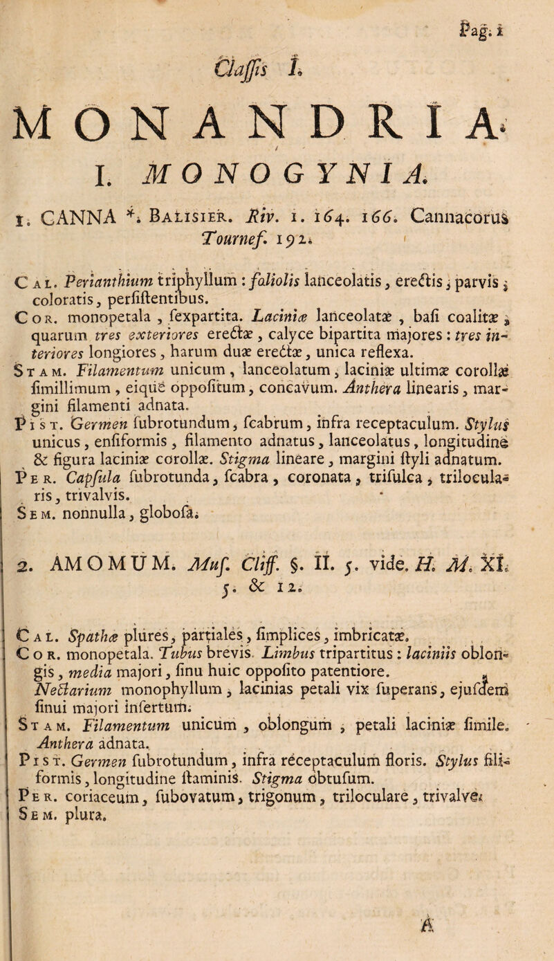 / I. M O N O GYN I A. I. GANNA ** Balisier. Riv. i. 164. 166. Cannacorus Tournef. 191* < ' ^ ‘ r ■ *■ t ' ’ , 1 Cai. Perianthium triphyllum : faliolis lanceolatis, ere<flis j parvis $ coloratis, perfiftentibus. Cor. monopetala , fexpartita. Lacinice lanceolatae , bafi coalitae -9 quarum tres exteriores eremae, calyce bipartita majores : tres in¬ teriores longiores, harum duae eredtae, unica reflexa. Stam. Filamentum unicum , lanceolatum, laciniae ultimae corolla* flmillimum , eiqiie oppofitum, concavum. Anthera linearis, mar¬ gini filamenti adnata. Pi st. 'Germen fubrotundum, fcabrum, infra receptaculum. Stylus unicus, enfiformis, filamento adnatus, lanceolatus, longitudine & figura laciniae corollae. Stigma lineare, margini ftyli acmatum. Per. Capfula fubrotunda, fcabra , coronata 9 trifulca , triloeula* ris, trivalvis. S e m. nonnulla, globofa; 2. AMOMUM. Muf. Cliff. §. II. 5. vide. H, M, y <k 12. C a l. Spatha plures, partiales, fimplices, imbricatae. Cor. monopetala. Tubus brevis. Limbus tripartitus : laciniis oblon« gis, media majori, finu huic oppofito patentiore. - Nettarium monophyllum , lacinias petali vix fuperans, ejufdeni finui majori infertum. Stam. Filamentum unicum , oblongum , petali laciniae fimile. Anthera adnata, Pi s t. Germen fubrotundum, infra receptaculum floris. Stylus filis formis, longitudine flaminis. Stigma obtufum. Per. coriaceum, fubovatum, trigonum, triloculare, trivalV@< S e m. plura.