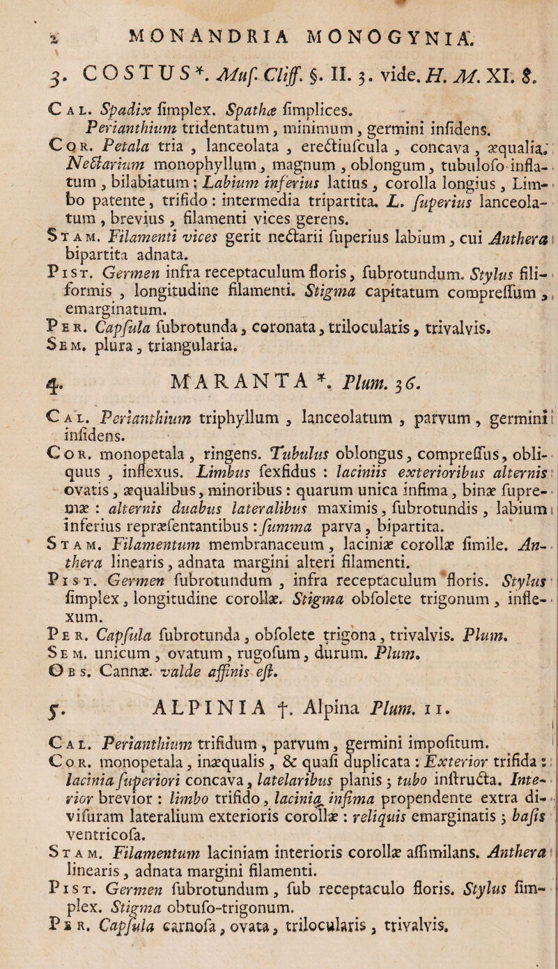 \ - > 3. COSTUSf. Muf. Cliff. §. II. 3. vide. H. M. XI. %. Cal. Spadix fimplex. Spatha fimplices. Perianthium tridentatum, minimum, germini infidens. Cor. Petala tria , lanceolata , ere&iufcula , concava , aequalia, Neffiarium monophyllum, magnum , oblongum , tubulofo infla¬ tum 3 bilabiatum: Labium inferius latius , corolla longius , Lim¬ bo patente} trifido: intermedia tripartita, L. fuperius lanceola- tum , brevius 3 filamenti vices gerens. St am. Filamenti vices gerit nedarii fuperius labium, cui Anthera bipartita adnata. Pist. Germen infra receptaculum floris, fubrotundum. Stylus fili¬ formis , longitudine filamenti. Stigma capitatum compreffum , emarginatum. Per. Capfula fubrotunda, coronata,trilocularis, trivalvis, Sem. plura 5 triangularia. MARANTA Pium. 3 6. Cal. Perianthium triphyllum , lanceolatum , parvum, germini infidens. Cor. monopetala, ringens. Tubulus oblongus, compreffus, obli¬ quus , innexus. Limbus fexfidus : laciniis exterioribus alternis ovatis, aequalibus, minoribus : quarum unica infima, binae fupre- mae : alternis duabus lateralibus maximis, fubrotundis 5 labium 1 inferius repraefentantibus : fumma parva, bipartita. Stam. Filamentum membranaceum, laciniae corollae fimile. An¬ thera linearis , adnata margini alteri filamenti. Pxst. Germen fubrotundum, infra receptaculum floris. Stylus fimplex, longitudine corollae. Stigma obfolete trigonum , infle¬ xum. Per. Capfula fubrotunda, obfolete trigona, trivalvis. Pium. Se m. unicum , ovatum, rugofum, durum. Pium» Oes. Cannae, valde affinis efi. 5. ALPINIAf. Alpina Pium. 11. Cal. Perianthium trifidum, parvum, germini impolitum. Cor. monopetala, inaequalis , & quafi duplicata : Exterior trifida : lacinia fuperiori concava, latelaribus planis ; tubo inftru&a. Inte¬ rior brevior : limbo trifido, lacinia1 infima propendente extra di- vifuram lateralium exterioris corollae: reliquis emarginatis ; bafis ventricofa. Stam. Filamentum laciniam interioris corollae affimilans. Anthera linearis, adnata margini filamenti. P1 s t. Germen fubrotundum, fub receptaculo floris. Stylus fim¬ plex. Stigma obtufo-trigonum. P s r, Capfula carnofa, ovata, trilocularis , trivalvis.