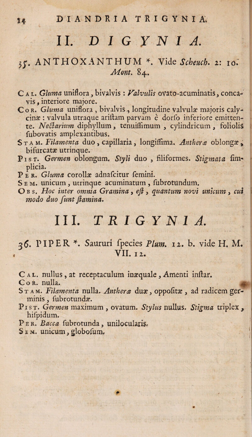 II. D I G Y N I A. j;. ANTHOXANTHUM *. Yide Scheucb. i: tol Mont. 84, C a l. Gluma uniflora , bivalvis: Valvulis ovato-acuminatis, conca¬ vis , interiore majore. Cor. Gluma uniflora , bivalvis, longitudine valvulae majoris caly- cinae : valvula utraque ariftam parvam e dorfo inferiore emitten¬ te. Nettarium dipnyllum, tenuiflimum , cylindricum a foliolis fubovatis amplexantibus. S t a m. Filamenta duo , capillaria, longiflima. Anthera oblongae , bifurcatae utrinque. Pist. Germen oblongum, Styli duo , filiformes. Stigmata finv* plicia. Per. Gluma corollae adnafcitur femini. S e m. unicum , utrinque acuminatum , fubrotundum. Obs, Hoc inter omnia Gramina, eft, quantum novi unicum 3 cui modo duo funt flamina. III. T R l G Y N 1 A. 36. PIPER *. Saururi fpecies Pium. 12. b. vide H, M. VII. 12. Cal. nullus, at receptaculum inaequale, Amenti inftar. Cor. nulla. Stam. Filamenta nulla. Anthera duae, oppofitae , ad radicem ger¬ minis , fubrotundae. Pist. Germen maximum , ovatum. Stylus nullus. Stigma triplex, hifpidum. Per. Bacca fubrotunda, unilocularis* S e m. unicum, globofum,