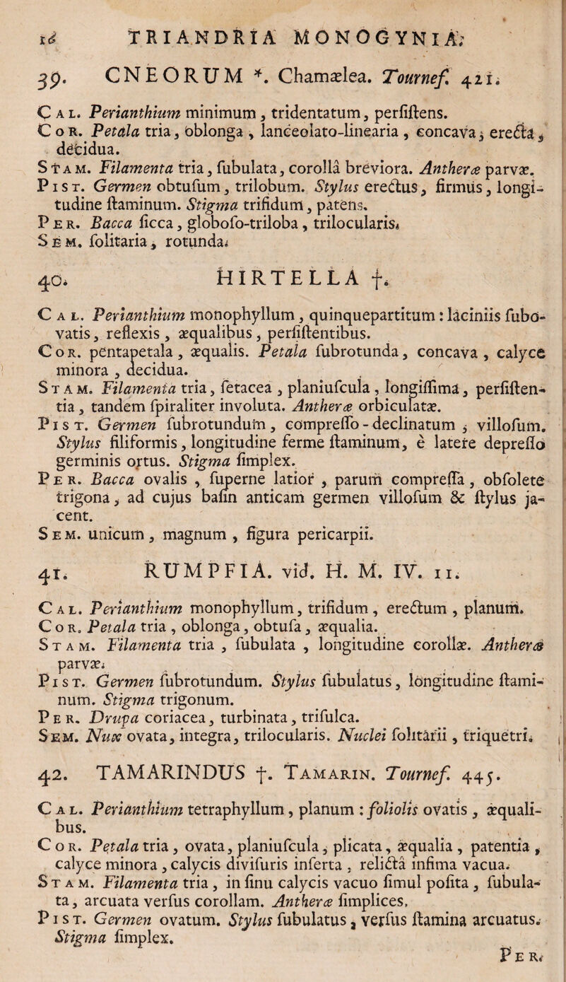 T R IA N D R i A MONOGYNlA; CNEORUM *. Chamadea. Tournef» 4 id 39- 11» C a l. Perianthium minimum, tridentatum, perfidens. Cor. Petala, tria, oblonga , lanceolato-linearia , concavai ereda* decidua. S f a m. Filamenta tria , Tubulata, corolla breviora. Antherce parva?. P1 s t. Germen obtufum, trilobum. Stylus eredus, firmus , longi¬ tudine daminum. Stigma trifidum , patens. Per. Bacca ficca, globofo-triloba, trilocularis* Sem. folitaria, rotunda^ 40* HIRTE LLA f, C a l. Perianthium monophyllum, quinquepartitum: laciniis fubd- vatis, reflexis, aequalibus, perfidentibus. Cor. pentapetala, aequalis. Petala fubrotunda, concava , calyce minora , aecidua. S t a m. Filamenta tria, fetacea , planiufcula , longiflima, perfidens tia, tandem fpiraliter involuta. Anthera orbiculatae. P1 s t. Germen fubrotunduin , comprefTo - declinatum , villofum. Stylus filiformis, longitudine ferme daminum, e latere depredo germinis ortus. Stigma fimpiex. Per. Bacca ovalis , fuperne latior , parum compreda, obfolete trigona, ad cujus baun anticam germen villofum & dylus ja¬ cent. S e m. unicum , magnum , figura pericarpii. 41, RUMPFIA. Vid. H. M. IV. II. Cal. Perianthium monophyllum, trifidum, eredum , planum. Cor. Petala tria , oblonga, obtufa, aequalia. S t a m. Filamenta tria , Tubulata , longitudine corollae. Anthercs parvae* P1 s t. Germen fubrotundum. Stylus Tubulatus, longitudine dami¬ num. Stigma trigonum. P e r. Drupa coriacea, turbinata, trifulca. Sem. Nux ovata, integra, trilocularis. Nuclei fohtarii, triquetri. , l' 42. TAMARINDUS f. Tamarin. Tourncf 445. C a l. Perianthium tetraphyllum, planum : foliolis ovatis , aequali¬ bus. Cor. Petala tria , ovata, planiufcula, plicata, aequalia , patentia , calyce minora , calycis divifuris inferta , relida infima vacua. S t a m. Filamenta tria , in finu calycis vacuo fimul pofita, Tubula¬ ta, arcuata verfus corollam. Antherce fimplices, P1 s t. Germen ovatum. Stylus Tubulatus, verfus damina arcuatus. Stigma fimpiex. P E R*