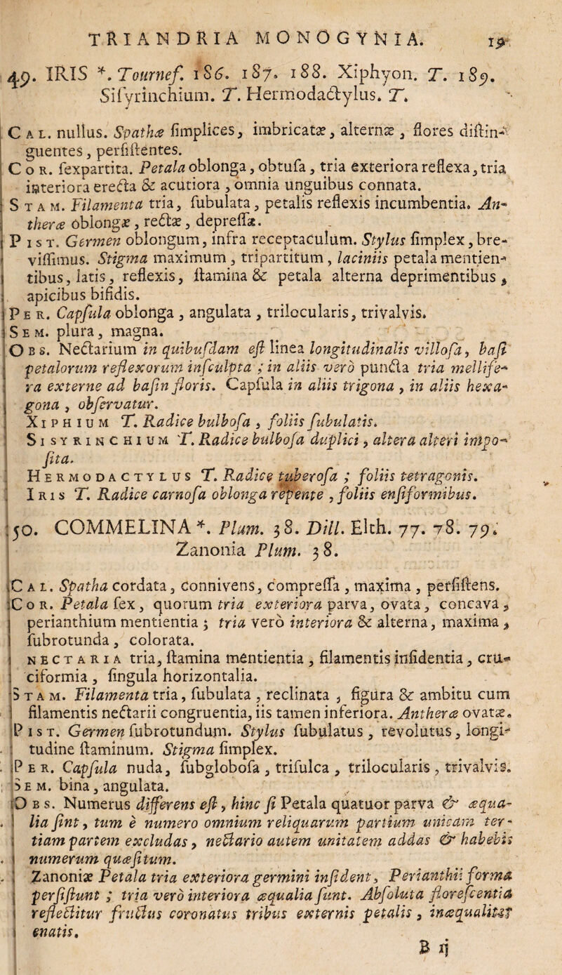 tw 49. IRIS *. Tmtrnef. 186. 1S7. 188. Xiphyon. T. 189. Sifyrinchium. T. Hermoda&ylus. T. Cal. nullus. Spatha fimplices, imbricatae, alternae, flores diflin^ guentes, perfiflentes. Cor. fexpartita. Petala oblonga, obtufa, tria exteriora reflexa, tria interiora ereda & acutiora , omnia unguibus connata. Stam. Filamenta tria. Tubulata, petalis reflexis incumbentia. An- t heres oblongae, redae, depreflk. Pist. Germen oblongum, infra receptaculum. Stylus fimplex,bre- viflimus. Stigma maximum, tripartitum, laciniis petala mentien* tibus, latis, reflexis, flamina & petala alterna deprimentibus % I apicibus bifidis. ? P e r. Capfula oblonga , angulata , trilocularis, trivalvis» iSem. plura, magna. O b s. Nedarium in quihufdam efl linea longitudinalis villofa, hafi petalorum reflexorum infculpta ; in aliis vero ptmda tria mellife* ra externe ad hafln floris. Capfula in aliis trigona , in aliis hexa- , gona , ohfervatur. Xiphium T. Radice hulhofla , foliis fabulatis. Si syrinchium T. Radice bulbofa duplici, altera alteri inigo-* fit a. Hermodactylus T. Radice tuherofa ; foliis tetragonis. Iri s T. Radice carnofa oblonga repente , foliis enfiformibus. :fO. COMMELINA*. Pium. 38. Dill. Elth. 77. 78. 79, Zanonia Pium. 38. jC a 1. Spatha cordata, connivens, Comprefla , maxima , perfillens. :C o r. Petala fex , quorum tria exteriora parva, ovata, concava , j perianthium mentienda ; tria vero interiora & alterna, maxima % I Tubrotunda, colorata. j nectari a tria, flamina mentienda , filamentis infidentia, cru« | ciformia , Tingula horizontalia. Stam. Filamenta tria, Tubulata , reclinata , figura ambitu cum j filamentis nedarii congruentia, iis tamen inferiora. Anthera ovatae. jP 1 s t. Germen Tubrotundum. Stylus Tubulatus , revolutus, longi* tudine flaminum. Stigma fimplex. Per. Capfula nuda, fubglobofa , trifulca , trilocularis , trivalvis. ; Se m. bina, angulata. iD b s. Numerus differens efl, hinc fi Petala quatuor parva & aqua- . 1 lia fint, tum e numero omnium reliquarum partium unicam ter * ; tiam pariem excludas, neftario autem unitatem addas & habebis . \ numerum quafitum. . I Zanonia? Petala tria exteriora germini infident, Perianthh forma perfiftunt ; tria vero interiora aqualia funt. Abfoluta florefeentia 1 refledlitur fruffus coronatus tribus externis petalis, inaqualiUf 1 enatis. B ij