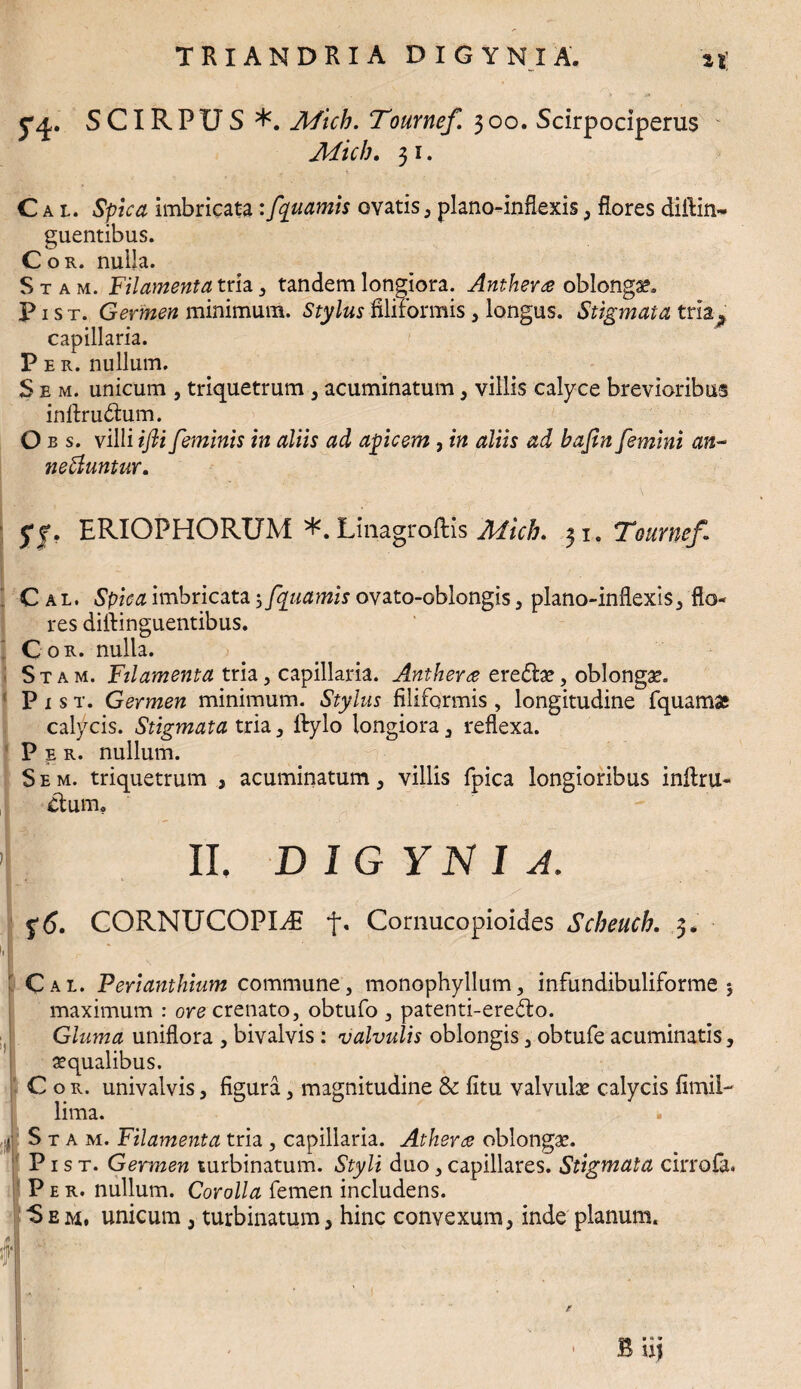 n) yq. SCIRPUS Afich. Tournef 300. Scirpociperus Mich. 31. Cu. Spica imbricata ifquamis ovatis, plano-inflexis, flores diftin- guentibus. Cor. nulla. Stam. Filamenta tria , tandem longiora. Antherce oblonga?, P1 s t. Germen minimum. Stylus filiformis , longus. Stigmata tria^ capillaria. Per. nullum. S e m. unicum , triquetrum , acuminatum , villis calyce brevioribus inftrudtum. O b s. villi ifti feminis in aliis ad apicem , in aliis ad bafin femini an- neftuntur. 57. ERIOPHORUM Linagroftis Mich. 31. Tournef. . Cal. Spica imbricata 5fquamis ovzto-ohlongis 3 plano-inflexis, flo¬ res diftinguentibus. Cor. nulla. Stam. Filamenta tria, capillaria. Anther ce ere&ae, oblongae. P 1 s t. Germen minimum. Stylus filiformis , longitudine fquamse calycis. Stigmata tria., ftylo longiora3 reflexa. Per. nullum. S e m. triquetrum , acuminatum , villis fpica longioribus inftru- ctum, - 1 II, D 1G YN 1 J. $6. CORNUCOPIA t* Cornucopioides Scheuch. 3* Cal. Perianthium commune, monophyllum, infundibuliforme j maximum : ore crenato, obtufo , patenti-erefto. Gluma uniflora , bivalvis : valvulis oblongis, obtufe acuminatis, aequalibus. Cor. univalvis, figura, magnitudine & fitu valvulae calycis fimi!- lima. k Stam. Filamenta tria , capillaria. Athera oblongae. P1 s t. Germen turbinatum. Styli duo, capillares. Stigmata cirrofa. Per. nullum. Corolla femen includens. S e m. unicum 3 turbinatum 3 hinc convexum, inde planum. Biij