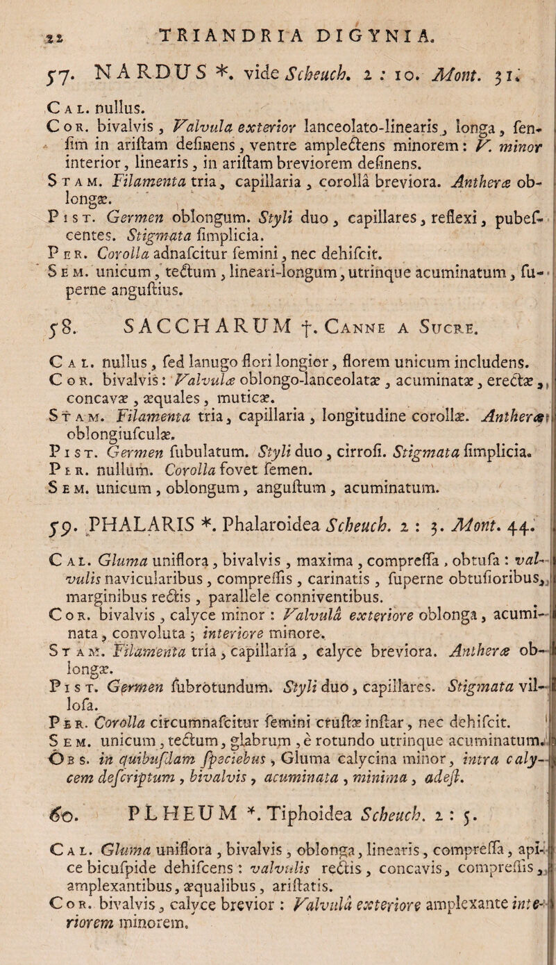5*7. NARDUS *. vide Scbeach. 1 : 10. Mont. 31* C a l. nullus. Cor. bivalvis, Valvula exterior lanceolato-linearis, longa, fen- lim in ariftam delinens , ventre ampledlens minorem: V. minor interior, linearis, in ariftam breviorem delinens. S t a m. Filamenta tria, capillaria , corolla breviora. Antherce ob¬ longae. P 1 s t. Germen oblongum. Styli duo , capillares, reflexi, pubes¬ centes. Stigmata fimplicia. Per. Corolla adnafcitur femini, nec dehifcit. S e m. unicum, tedlum , lineari-longum, utrinque acuminatum, fu- perne anguftius. y8. SACCHARI! M f. Canne a Sucre. C a t. nullus, fed lanugo flori longior, florem unicum includens. Cor. bivalvis: Valvula oblongo-lanceolatae, acuminatae, erecta ,, concavae, aequales, muticae. Stam. Filamenta tria, capillaria, longitudine corollae. Anthera- oblongiufculae. P1 s t. Germen fabulatum. Styli duo, cirrofi. Stigmata flmplicia. Per. nullum. Corolla fovet femen. S e m. unicum , oblongum, anguftum, acuminatum. ' yp. PHALARIS *. Phalaroidea Scheuch. 1 : 3. Mont. 44. j Cal. Gluma uniflora, bivalvis , maxima , comprefla , obtufa : val~ i vulis navicularibus, compreflis , carinatis , fuperne obtufioribus, ii marginibus redlis , parallele conniventibus. Cor. bivalvis, calyce minor : Valvula exteriore oblonga, acumi¬ nata , convoluta ; interiore minore. St a te. Filamenta tria , capillaria , calyce breviora. Antherce ob¬ longae. P1 s t. Germen fubrotundum. Styli duo, capillares. Stigmata vil- 8 lofa. Per. Corolla circumnafciter femini cruftaeinilar, nec dehifcit. S e m. unicum, tedtum, glabrum ,e rotundo utrinque acuminatu tru Obs. in quibufdam fpeciebus > Gluma calycina minor, intra caly~\i cem defer iptum , bivalvis, acuminata , minima, adefl. 60. PLHEUM *. Tiphoidea Scheuch. 1: 5. Cal. Gluma uniflora , bivalvis, oblonga,linearis, comprefla, api- \ ce bicufpide dehifcens: valvulis redtis, concavis, comprefiis, t amplexantibus, aequalibus, ariftatis. Cor. bivalvis, calyce brevior : Valvula exteriore amplexanteint&u riorem minorem.