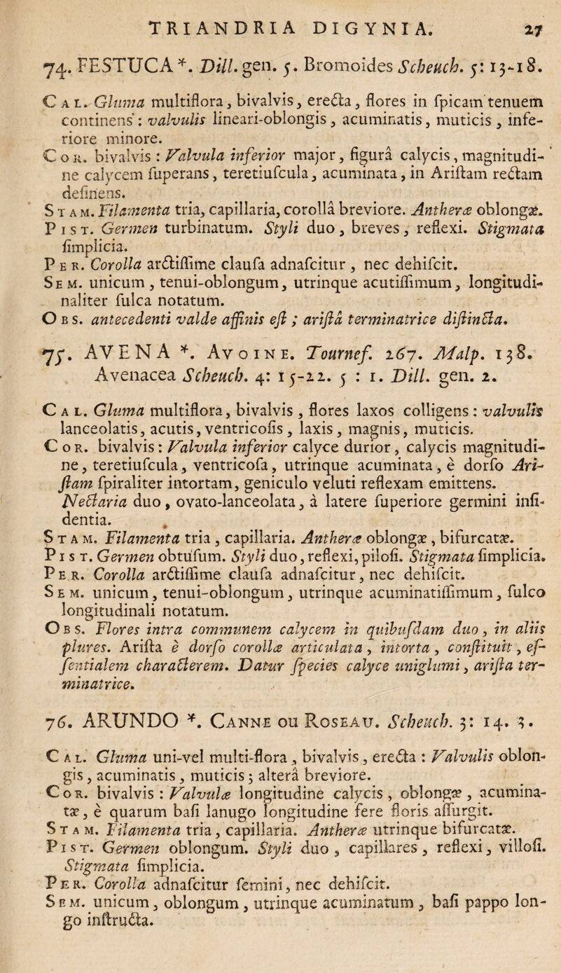 74. FESTUCA *. Dill. gen. 5. Bromoides Scheuch, 5:13-18. Cal Gluma multiflora , bivalvis , ereda, flores in fpicam tenuem continens’: valvulis lineari-oblongis , acuminatis , muticis , infe¬ riore minore. C o ii. bivalvis : Valvula inferior major, figura calycis, magnitudi¬ ne calycem fuperans, teretiufcula, acuminata, in Aridam redam delinens. S t a m. Filamenta tria, capillaria, corolla breviore. Anthera oblonga. P 1 s t. Germen turbinatum. Styli duo , breves , reflexi. Stigmata fimplicia. Per. Corolla ardiffime claufa adnafcitur , nec dehifcit. Sem. unicum, tenui-oblongum, utrinque acutiffimum, longitudi- naliter fulca notatum. O b s. antecedenti valde affinis efi ; arifld terminatrice diftinBa. •• ' I “ ;• . - 75*. AVENA *. Avo in e. Tournef. 167. Malp, 138. Avenacea Scheuch. 4: 15-22. ^ : 1. DHL gen. 2. Cal. Gluma multiflora, bivalvis , flores laxos colligens : valvulis lanceolatis, acutis, ventricolis, laxis, magnis, muticis. Cor. bivalvis: Valvula inferior calyce durior, calycis magnitudi¬ ne , teretiufcula, ventricofa, utrinque acuminata, e dorfo Ari* fiam fpiraliter intortam, geniculo veluti reflexam emittens. NeAaria duo, ovato-lanceolata, a latere fuperiore germini infi- dentia. S t a m. Filamenta tria, capillaria. Antherx oblongae, bifurcatae. P1 s t. Germen obtufum. Styli duo, reflexi, piloli. Stigmata fimplicia. Per. Corolla ardiffime claufa adnafcitur, nec dehifcit. Sem. unicum, tenui-oblongum, utrinque acuminatilfimum, fulco longitudinali notatum. Obs. Flores intra communem calycem in quibufdam duo, in aliis plures. Arida e dorfo corolla articulata, intorta, confiituit, ef* fentialem charaffierem, Datur fpecies calyce uniglumi, arifta ter¬ minatrice, 76. ARUNDO *. Canne ou Roseau. Scheuch. 3: 14. 3. Cal. Gluma uni-vel multi-flora, bivalvis, ereda : Valvulis oblon¬ gis , acuminatis, muticis 5 altera breviore. Cor. bivalvis : Valvula longitudine calycis , oblongae, acumina¬ tae, e quarum bafi lanugo longitudine fere floris afllxrgit. S t a m. Filamenta tria, capillaria. Antheree utrinque bifurcatae. Pist. Germen oblongum. Styli duo, capillares, reflexi, villofi. Stigmata fimplicia. Per. Corolla adnafcitur femini, nec dehifcit. Sem. unicum, oblongum, utrinque acuminatum , bafi pappo lon¬ go inflruda.