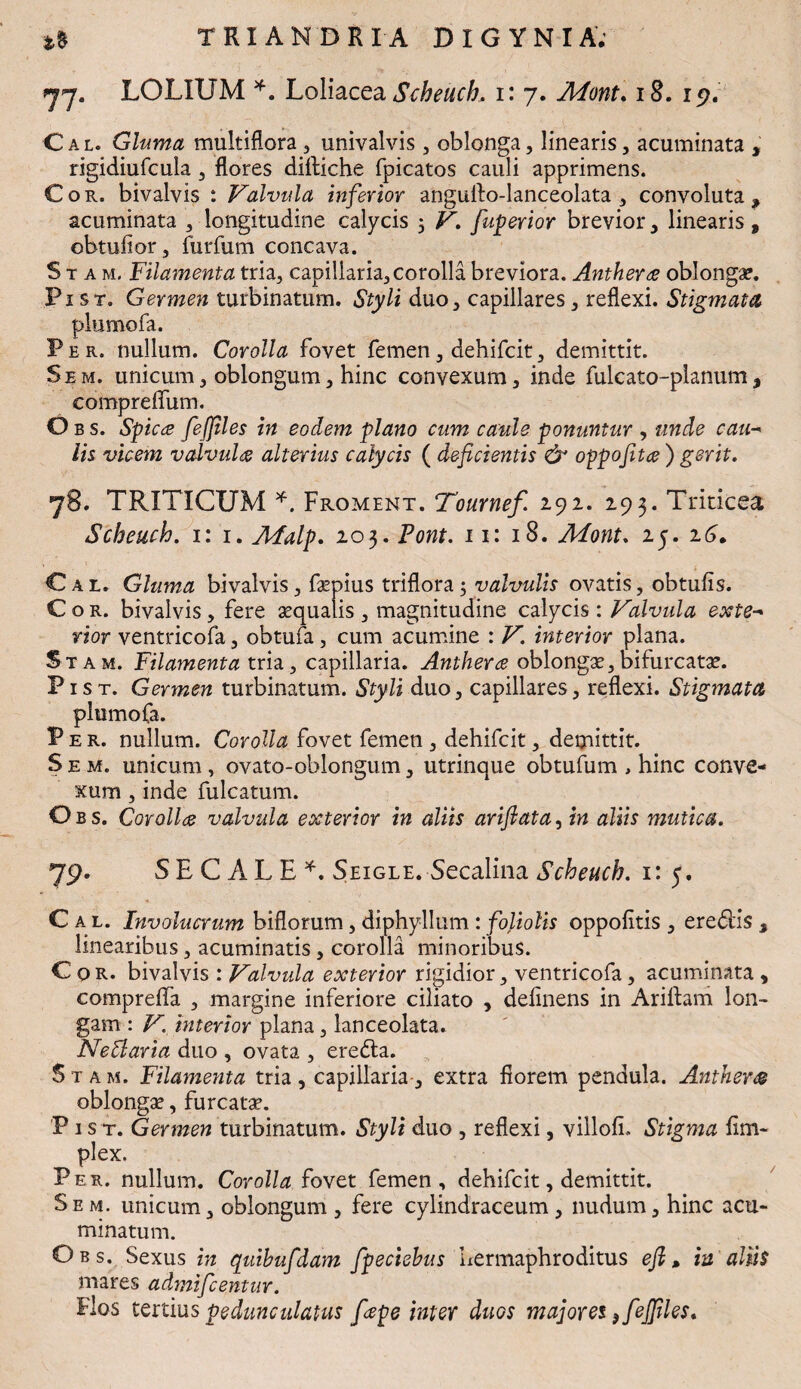 77. LOLIUM *. Loliacea Scheuch. i: 7. Mont. 18. 19. Cal. Gluma multiflora , univalvis , oblonga, linearis, acuminata , rigidiufcula , flores dilliche fpicatos cauli apprimens. Cor. bivalvis *. Valvula inferior anguflo-lanceolata , convoluta, acuminata , longitudine calycis 5 V. fuperior brevior , linearis , obtufior, furfum concava. S t a m. Filamenta tria, capillaria, corolla breviora. Anthera oblonga?. Pist. Germen turbinatum. Styli duo, capillares, reflexi. Stigmata plumofa. P e r. nullum. Corolla fovet femen, dehifcit, demittit. Sem. unicum, oblongum, hinc convexum, inde fulcato-planum, comprelfum. Obs. Spicee feffiles in eodem plano cum caule ponuntur , unde cau- lis vicem valvula alterius calycis ( deficientis & oppofita ) gerit. 78. TRITICUM *. Froment. Tournef. 292. 293. Triticea Scheuch. 1:1. Afalp. 203. Pont. 11: 18. Mont. 25. 16. Cal. Gluma bivalvis, fepius triflora$ valvulis ovatis, obtufis. Cor. bivalvis, fere sequatis , magnitudine calycis : Valvula exte¬ rior ventricofa, obtufa, cum acumine : V. interior plana. Stam. Filamenta tria, capillaria. Anthera oblongse,bifurcata?. Pist. Germen turbinatum. Styli duo, capillares, reflexi. Stigmata plumofa. Per. nullum. Corolla fovet femen , dehifcit, demittit. Sem. unicum , ovato-oblongum, utrinque obtufum , hinc conve¬ xum , inde fulcatum. Obs. Coroll<g valvula exterior in aliis arifiata, in aliis mutica. 79. S E C A L E *. Seigle. Secalina Scheuch. 1: 5. Cal. Involucrum biflorum, diphyllum : foliolis oppofltis , eredtis , linearibus, acuminatis , corolla minoribus. Cor. bivalvis : Valvula exterior rigidior, ventricofa, acuminata , comprefla , margine inferiore ciliato , delinens in Ariftam lon¬ gam : V. interior plana, lanceolata. NeUaria duo , ovata , eredta. Sta m. Filamenta tria , capillaria , extra florem pendula. Anther® oblongse, furcatse. 'P 1 s t. Germen turbinatum. Styli duo , reflexi, villofh Stigma flm- plex. Per. nullum. Corolla fovet femen, dehifcit, demittit. Sem. unicum, oblongum , fere cylindraceum , nudum, hinc acu¬ minatum. Obs. Sexus in quibufdam fpeciebus hermaphroditus efi» in aliis mares admifeentur. Flos tertius pedunculatus ftepe inter duos majores ^fejfiles.