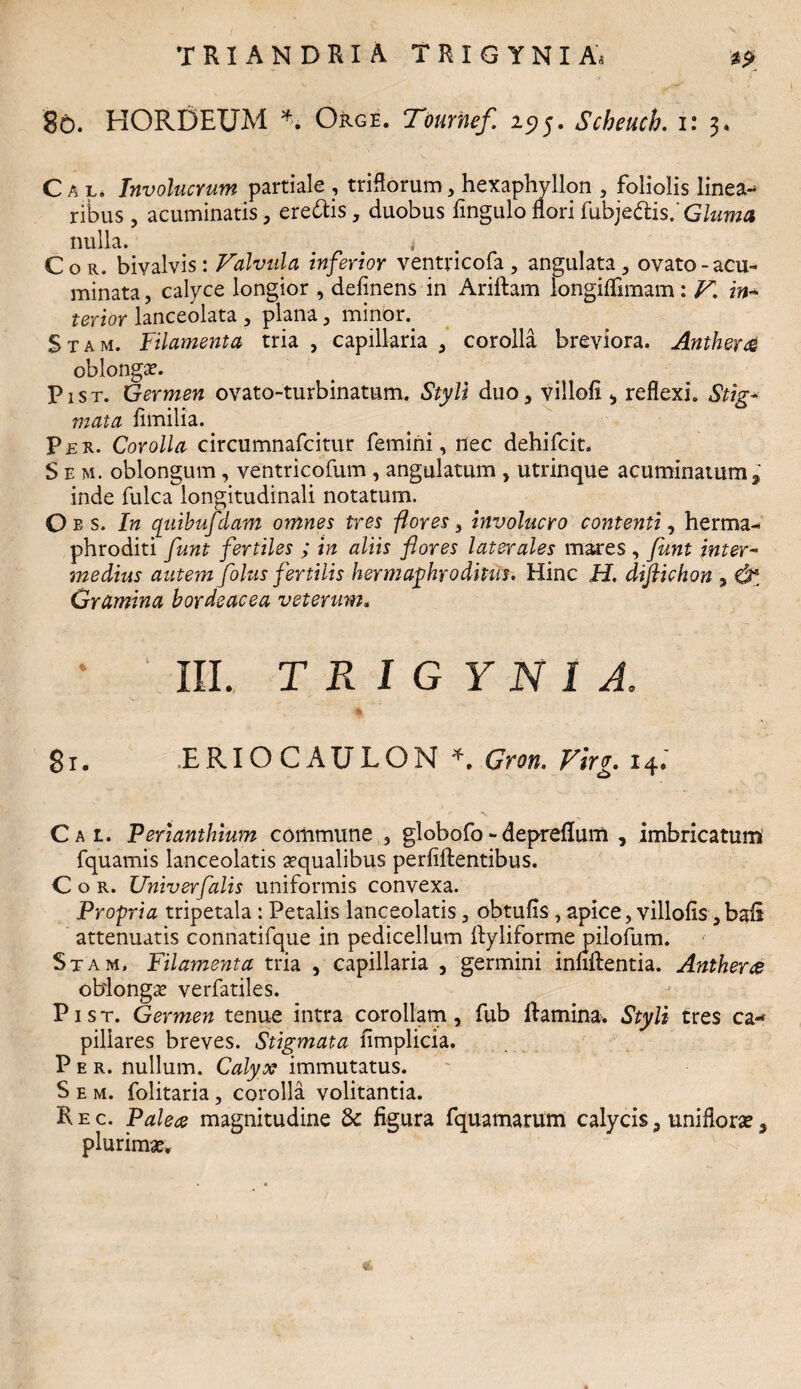 8b. HORDEUM *. Orge. Tournef 195. Scheuch. 1: 3. C a l« Involucrum partiale , triflorum, hexaphyllon , foliolis linea-* ribus , acuminatis , eredis, duobus fingulo flori fubjedis. G/zmza nulla. 4 Cor. bivalvis: Valvula inferior ventricofa, angulata , ovato-acu¬ minata , calyce longior , delinens in Ariftam longiflimam: V in- terior lanceolata , plana, minor.. Stam. Filamenta tria , capillaria , corolla breviora. Antherd oblonga?. Pist. Germen ovato-turbinatum. Styli duo, villofl , reflexi. Stig¬ mata fimilia. Per. Corolla circumnafcitur femini, nec dehifcit. S e m. oblongum , ventricofum , angulatum , utrinque acuminatum, inde fulca longitudinali notatum. O e s. In qiiihufdam omnes tres flores, involucro contenti, herma¬ phroditi funt fertiles ; in aliis flores laterales mares , funt inter¬ medius autem folus fertilis hermaphroditus. Hinc H. diftichon , ^ Gramina hordeacea veterum„ III. T R I G Y N I A. 81. .ERIO CAULON *. Gron. Firg. 14. Cal Perianthium commune , globofo- depreflum , imbricatum fquamis lanceolatis aqualibus perfiftentibus. Cor. Univerfalts uniformis convexa. Propria tripetala: Petalis lanceolatis, obtufls , apice, villofis, baii attenuatis connatifque in pedicellum flyliforme pilofum. Stam, Filamenta tria , capillaria , germini innflentia. Antherce oblonga? verfatiles. Pist. Germen tenue intra corollam, fub ft amina. Styli tres ca-* piliares breves. Stigmata fimplicia. Per. nullum. Calyx immutatus. S e m. folitaria , corolla volitantia. R e c. Palece magnitudine 3c figura fquamarum calycis, unifione, plurimae.