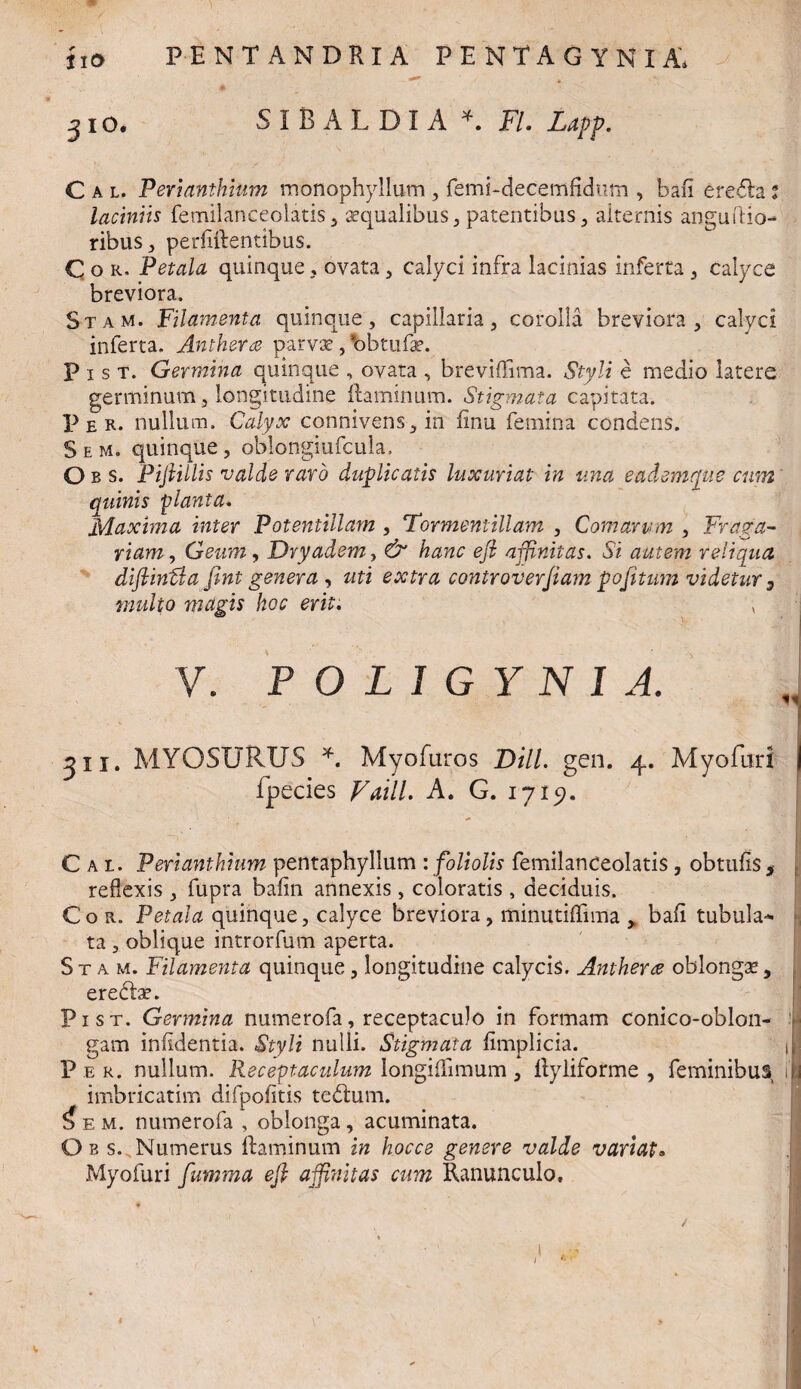 S I B A L D I A * FI. Lapp. Cal. Perianthium monophyllum , femi-decemfidum , bafi eredtai laciniis femilanceolatis, aequalibus, patentibus, alternis anguflio- ribus, perfiftentibus. Cor. Petala quinque, ovata, calyci infra lacinias inferta , calyce breviora. Stam. Filamenta quinque, capillaria, corolla breviora, calyci inferta. Anthera parvae, bbtufs. P i s t. Germina quinque , ovata , breviflima. Styli e medio latere germinum, longitudine flaminum. Stigmata capitata. Per. nullum. Calyx connivens, in finu femina condens. Sem. quinque, oblongiufcula. O b s. Pijlillis valde raro duplicatis luxuriat in ima eademque cum quinis planta. Maxima inter Potentillarn , T'ormentillam , Comarum , Fraga- riam, Geum , Dryadem, & hanc eji affinitas. Si autem reliqua diftintla fint genera , uti extra controverfiam pofitum videtur 3 multo magis hoc erit. v 310- V. P O L I G Y N I A. 1 5ii. MYOSTJRUS *. Myofuros Dill. gen. 4. Myofuri j Ipecies Vatii. A. G. 1715?. Cal. Perianthium pentaphyllum : foliolis femilanceolatis, obttifis s reflexis, fupra bafin annexis, coloratis , deciduis. Cor. Petala quinque, calyce breviora, minutiffima > baii tubula¬ ta , oblique introrfum aperta. Stam. Filamenta quinque , longitudine calycis. Antherce oblongae, eredis. Pist. Germina numerofa, receptaculo in formam conico-oblon- gam infidentia. Styli nulli. Stigmata fimplicia. 1 Pe r. nullum. Receptaculum longiflimum, flyliforme , feminibus i' imbricarim difpofitis tedlum. ^em. numerofa , oblonga, acuminata. O b s. Numerus flaminum in hocce genere valde variat. Myofuri fumma eft affinitas cum Ranunculo, '-i :