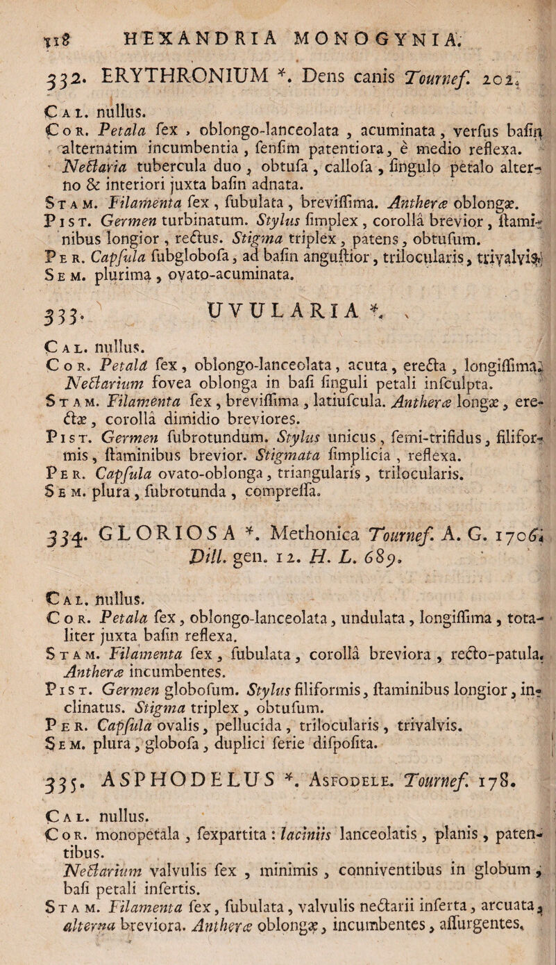 332. ERYTHRONIUM *. Dens canis Tournef 102\ Cai, nullus. Cor. Petala fex , oblongo-lanceolata , acuminata, verfus ba% alternatim incumbentia, fenfim paterniora, e medio reflexa. Ne avi a tubercula duo , obtufa , callofa , fingulp petalo alter¬ no & interiori juxta bafin adnata. Stam. Filamenta fex , Tubulata , brevifbma. Antheriz oblongae. F1 s t. Germen turbinatum. Stylus fimplex , corolla brevior , flami¬ nibus longior , redlus. Stigma triplex, patens, obtufum. Per. Capfula fubglobofa, ad bafin anguftior, trilocularis, ttiyalyi^ S e m. plurima , oyatp-acuminata. 333, ' UVULARIA * , Cal. nullus. Cor. Petala fex , oblongo-lanceolata, acuta, eredla , longiffimtO NeBarium fovea oblonga in bafi finguli petali infculpta. Stam. Filamenta fex , breviffima , latiufcula. Anthera longae, ere» dlse, corolla dimidio breviores. Fi st. Germen fubrotundum. Stylus unicus, femi-trifidus, filifor¬ mis , flaminibus brevior. Stigmata fimplicia , reflexa. Fer. Capfula ovato-oblonga, triangularis, trilocularis. S e m. plura , fubrotunda , compreffa. 33^. GLORIOSA *. Methonlca 'Tournef A. G. 1706*4 gen. 12. H. L. 68y* Cal. nullus. C o r. Petala fex, oblongo-lanceolata, undulata, longiflima , tota¬ liter juxta bafin reflexa. Stam. Filamenta fex, Tubulata, corolla breviora , recfo-patula. Anthera incumbentes. F1 s t. Germen globofum. Stylus filiformis, flaminibus longior, in? clinatus. Stigma triplex , obtufum. Per. Capfula ovalis, pellucida , trilocularis , trivalvis. S e m. plura, globofa, duplici ferie difpofita. 335. ASPHODELUS *. Asfodele. Tournef 178, Cal. nullus. Cor. monopetala , Texpartita : laciniis lanceolatis , planis , paten¬ tibus. NeBarium valvulis fex , minimis , conniventibus in globum , bafi petali infertis. Stam. Filamenta fex, Tubulata, valvulis nedtarii inferta, arcuata, alterna breviora. Anthera oblongae, incumbentes, affurgentes,