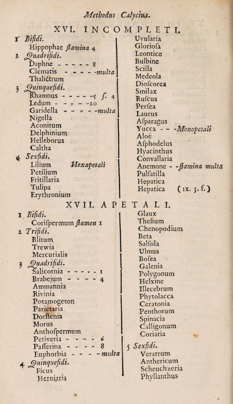 % - 8 - -multa - - fi 4 - -io w - -multa Mexapetali XVI. I N C O Bifidi Hippophae flamina 4 Quadrifidi. Daphne - - Clematis - Thali&rum 5 Quinque fidi. Rhamnus - Ledum - - Garidella - Nigella Aconitum Delphinium Helleborus Caltha ^ Sexfidi, Lilium Petilium Fritillaria Tulipa Erythronium XYII. A P I Bifidi. Corifpermum flamen 1 1 Trifidi. Blitum Trewia Mercurialis Quadrifidi. falicornia Brabejum - - Ammannia Rivinia Potamogeton Parietaria Dorftenra Morus Anthofpermum, Petiveria - - Pafferina - - Euphorbia - - 4. Quinque fidi. Ficus Herniaria - - - - - 1 6 8 - multa M PLETI, Uvularia Gloriola Leontice Bulbine Scilla Medeola Diofcorea Smilax Rufcus Perfea Laurus Afparagus Yucca — -Monopetati Aloe Afphodelus Hyacinthus Convallaria Anemone - -flamina multa Pulfatilla Hepatica Hepatica ( ix. 3. f.) E T A L I. Glaux Thelium Chenopodium Beta Salfola Ulmus Rofea Galenia Polygonum Helxine Ulecebrum Phytolacca Ceratonia Penthorum Spinacia Calligonum Coriaria 5 Sexfidi. Veratrum Anthericum Scheuch^eria Phyllanthus