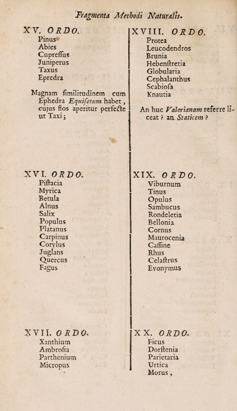 XV. ORDO. Pinus Abies CupreflTus Juniperus Taxus Epredra Magnam flmilitudinem cum Ephedra Equifetum habet, cujus flos aperitur perfe&e ut Taxi 5 XVI. ORDO. Piftacia Myrica Betula Alnus Salix Populus Platanus Carpinus Corylus Juglans Quercus Fagus XVII. ORDO. Xanthium Ambrofia Parthenium Micropus XVIII. ORDO. Protea Leucodendros Brunia Hebenftretia Globularia Cephalanthus Scabiofa Knautia An huc Valerianam referre li¬ ceat t aiv Staticem ? XIX. ORDO. Viburnum Tinus Opulus Sambucus Rondeletia Bellonia Cornus Maurocenia Cafline Rhus Celaftrus Evonymus XX. ORDO. Ficus Dorftenia Parietaria Urtica Morus,