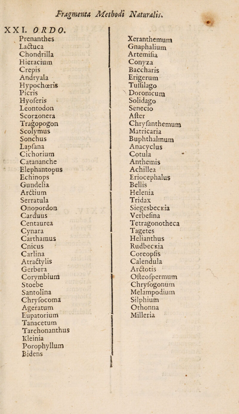 Fragmenta Methodi XXI. ORBO. Prenanthes Ladtuca Chondrilla Hieracium Crepis Andryaia Hypochoeris Picris Hyoferis Leontodon ! Scorzonera Tragopogon Scolymus Sonchus Lapfana Cichorium Catananche Elephantopus Echinops Gundelia Ardtium 1 Serratula Onopordon | Carduus I Centaurea Cynara Carthamus Cnicus Carlina Atradlylis Gerbera Corymbium Stoebe Santolina Chryfocoma Ageratum Eupatorium g Tanacetum Tarchonanthus Kleinia Porophyllum Bidens Naturalis. Xeranthemum Gnaphalium Artemifia Conyza Baccharis Erigerum Tuffilago Boronicum Solidago Senecio A lier Chryfanthemum Matricaria Buphthalmum Anacyclus Cotula Anthemis Achillea Eriocephalus Bellis Helenia Tridax Siegesbecnia Verbefina Tetragonotheca Tagetes Helianthus RudbecKia Coreopiis Calendula Ardlotis Oileo fpermum Chryfogonutn Melampodium Silphium Othonna Milleria