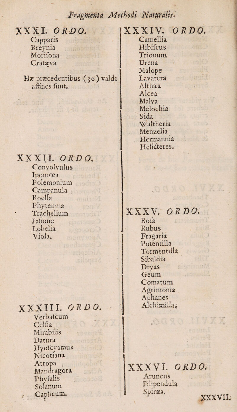 XXXI. ORBO. Capparis Breynia Morifona Crataeva Ha? praecedentibus ( 50 ) valde affines funt. XXXIV. ORDO. Camellia Hibifcus Trionum Urena Malope Lavatera Althaea Alcea Malva Melochia Sida Waltheria Menzelia Hermannia Helidteres. XXXII. ORDO. Convolvulus Ipomoea Polemonium Campanula Roella Phyteuma Trachelium Jafione Lobelia Viola» XXXIII. ORDO. Verbafcum Celha Mirabilis Datura Hyofcyamus ISlicotiana Atropa Mandragora Phyfalis Solanum Caphcum. XXXV. ORDO, Rofa Rubus Fragaria Potentilla Tormentilla Sibaldia Dryas Geum Comatum Agrimonia Aphanes Alchimilla* XXXVI. ORDO. Aruncus Filipendula Spiraea. XXXVII.