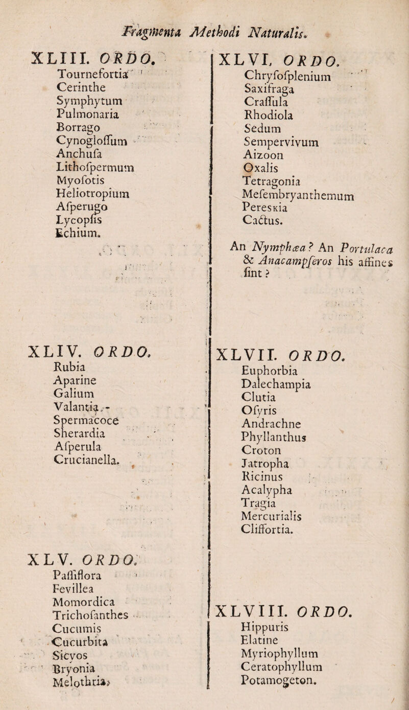 XLIII. ORDO. Tour ne fortia: ' Cerinthe Symphytum Pulmonaria Borrago Cynogloffum Anchufa Lithofpermum Myofotis Heliotropium Afperugo Lycopns Echium. XLIV. ORDO. Rubia Aparine Galium Valantia,- Spermacoce Sherardia . Afperula Crucianelia. f XLV. ORDO. Palfiflora Fevillea Momordica Trichofanthes Cucumis Cucurbita Sicyos ' ’ Bryonia Melothtia* XLVI, ORDO. Chtyfofplenium Saxifraga * - Craffula Rhodiola Sedum Sempervivum Aizoon : Oxalis I Tetragonia Mefembryanthemum PeresKia Cadus. An Nymphaea ? An Portulaca & Anae ampfer os his affines fint ? XLVII ORDO. Euphorbia Dalechampia Clutia Ofyris Andrachne Phyllanthus Croton Jatropha Ricinus Acalypha Tragia Mercurialis ClifFortia. XLVIII. ORDO. Hippuris Elatine Myriophyllum Ceratophyllum Potamogeton.