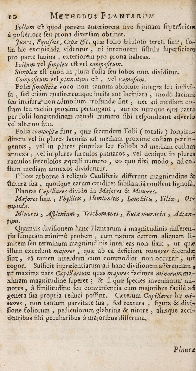 io MhthodusPlantarum Voltum eft quod partem anteriorem five fu pinam fuperfkiem a pofteriors feu prona diverfam obtitiet. Junci, Ecjuifeti, Cepa ffic. qux foiio fiftulofo tereti funt, fo¬ lia hic excipienda videntur , ni interiorem fiftuias luperficienj pro parte fupina , exteriorem pro prona habeas. Folium vel fimplex eft vel compofitum. Simplex eft quod in plura folia feu lobos non dividitur. Compofitum vel pinnatum eft , vel ramofum. Folia [implicia voco non tantum abfolute integra feu incKvi- fa > fed etiam qualitercunque incila aut laciniata , modo lacinia {eu incifara^ non admodum profundas fint , nec ad mediam co¬ dam feu rachin proxime pertingant 7 aut ex utraque ejus parte per folii longitudinem aequali numero libi refpondeant adverfa vel alterno Citu. Folia compofita funt , qux fecundum Folii (totalis) longitu¬ dinem vel in plures lacinias ad mediam proxime coftarn pertin¬ gentes , vel in plures pinnulas feu foliola ad mediam coftarn. annexa , vel in plures furculos pinnatos , vel denique in plures ramulos furculofos asquali numero } eo quo dixi modo , ad co¬ llam mediam annexos dividuntur. Filices arborea: a reliquis Cauliferis differunt magnitudine 8c flatura fua ? quodque earum caudices fuhftantiacotiftent lignofa. Plantas Capillares divido in Majores & Minores. Majores funt, P'hyIlitis > Hsmionitis , Lonchitis y Filix 3 Os■* munda. Minores x Afipkmum , Trichomanes } Ruta muraria x Adian- tum. Quamvis divifionem hanc Plantarum a magnitudinis differen¬ tia fumptam minime probem , cum natura certum aliquem li¬ mitem feu terminum magnitudinis inter eas non fixit , ut quas illum excedunt majores s quas ab ea deficiunt minores dicendae ifint j ea tamen interdum cum commodior non occurrit , uti cogor. Sufficit inpraefentiarum ad hanc divifionem afferendam * xit maxima pars Capillarium quas majores facimus minorum, ma¬ ximam magnitudine fuperet ; & fi quae fpecies inveniantur mi¬ nores , a fimilitudine feu convenientia cum majoribus facile ad genera fua propria reduci poftinr. Casterum Capillares hx mi- mores , non tantum parvitate fua , fed textura , figura & divi- fione foliorum , pediculorum glabritie & nitore ? aliisque acci¬ dentibus fibi peculiaribus a majoribus differunt. VlatitA
