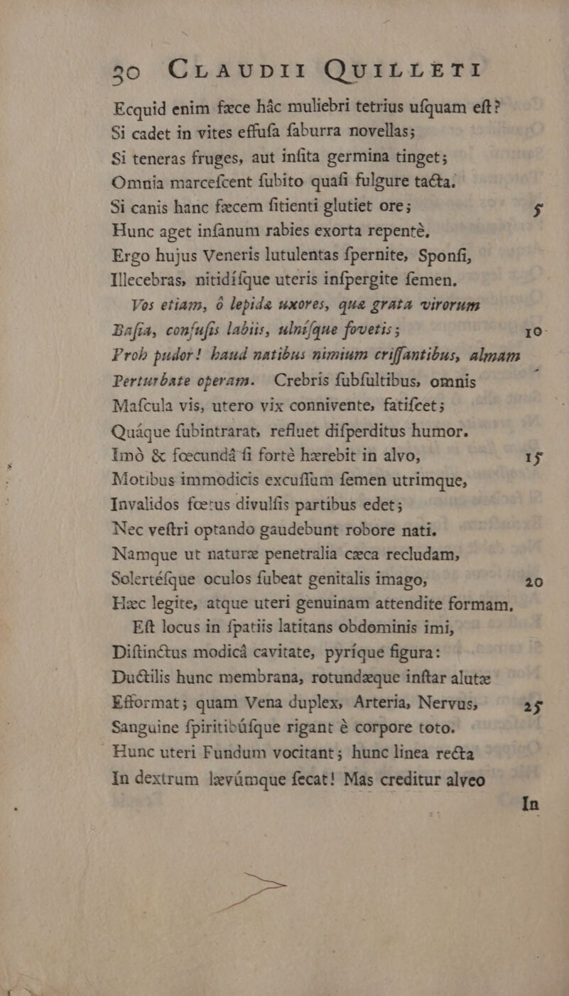 Ecquid enim fxce hác muliebri tetrius ufquam eft? Si cadet in vites effufa faburra novellas; Si teneras fruges, aut infita germina tinget; Omnia marcefcent fubito quafi fulgure tacta. Si canis hanc fzcem fitienti glutiet ore; $ Hunc aget infanum rabies exorta repente, Ergo hujus Veneris lutulentas fpernite, Sponfi, Illecebras, nitidífque uteris infpergite femen, Ves etiam, 0 lepide uxores, qua grata virorum Baia, confufis labiis, ulntfque fovetis ; 19- Prob pudor! baud natibus nimium criffantibus, algam Perturbate operam. — Crebris fubfultibus, omnis &amp; Mafcula vis, utero vix connivente, fatifcet ; Quáque fubintrarat, refluet difperditus humor. ÍImó &amp; foecundá fi forté hzxrebit in alvo, 15 Motibus immodicis excuffum femen utrimque, Invalidos fcerus divulfis partibus edet; Nec veftri optando gaudebunt robore nati. Namque ut naturz penetralia czca recludam, Solertéfque oculos fubeat genitalis imago, 20 Hzc legite, atque uteri genuinam attendite formam, Eft locus in fpatiis latitans obdominis imi, Diftinétus modicá cavitate, pyríque figura: Ductilis hunc membrana, rotundzque inftar alutz Efformat; quam Vena duplex, Arteria, Nervus, 2s Sanguine fpiritibüfque rigant é corpore toto. In dextrum levümque fecat! Mas creditur alveo In Mess