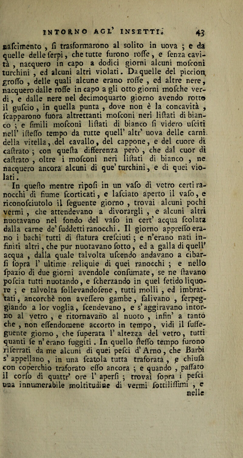 nafcimento , fi trasformarono al solito in uova ; e da quelle delle ferpi, che tutte furono rotte, e fenza cavi¬ tà , nacquero in capo a dodici giorni alcuni mofconi turchini , ed alcuni altri violati. Da quelle del piccion ^roffo , delle quali alcune erano rotte , ed altre nere, nacquero dalle rotte in capo a gli otto giorni mofche ver¬ di , e dalle nere nel decimoquarto giorno avendo rotto il gufcio , in quella punta , dove non è la concavità , fcapparono fuora altrettanti mofconi neri li flati di bian¬ co ; e limili mofconi liftati di bianco fi videro ufciti nell’ ifietto tempo da tutte quell’ altr’ uova delle carni- delia vitella,,del cavallo, del cappone, e del cuore di caftrato ; con quella differenza però , che dal cuor di cattrato , oltre i mofconi neri liftati di bianco , ne nacquero ancora alcuni di que’ turchini, e di quei vio¬ lati . In quello mentre ripofi in un vafo di vetro certi ra¬ nocchi di fiume {corticati, e lafciato aperto il vafo, e riconofciutolo il feguente giorno , trovai alcuni pochi vermi , che attendevano a divorargli , e alcuni altri nuotavano nei fondo dei vafo in cert’ acqua fcolata dalla carne de’fuddetti ranocchi. Il giorno appretto era¬ no i bachi tutti di ftatura crefciuti ; e n’erano nati in¬ finiti altri, che pur nuotavano fotto, ed a galla di queiF acqua , dalla quale talvolta ufcendo andavano a cibar¬ li fopra 1’ ultime reliquie di quei ranocchi ; e nello fpazio di due giorni avendole confumate, se ne ftavano pofcia tutti nuotando, e fcherzando in quei fetido liquo¬ re ; e talvolta follevandofene, tutti molli , ed imbrat¬ tati , ancorché non avellerò gambe, falivano , ferpeg- giando a lor voglia, fcendevano, e s’aggiravano intor¬ no ai vetro , e ritornavano al nuoto , infin’ a tanto che , non effendomene accorto in tempo, vidi il futte- guente giorno , che fuperata 1’ altezza del vetro, tutti quanti fe n’erano fuggiti. In quello fletto tempo furono rilerrati da me alcuni di quei pefci d’Arno, che Barbi s’ appellano , in una fcatpla tutta traforata , p chiufa con coperchio traforato etto ancora ; e quando , pattato il corfo di quattr’ ore 1’ aperfì ; trovai fopra i pefci una innumerabile moltitudine di vermi fottiliffimi , e nelle