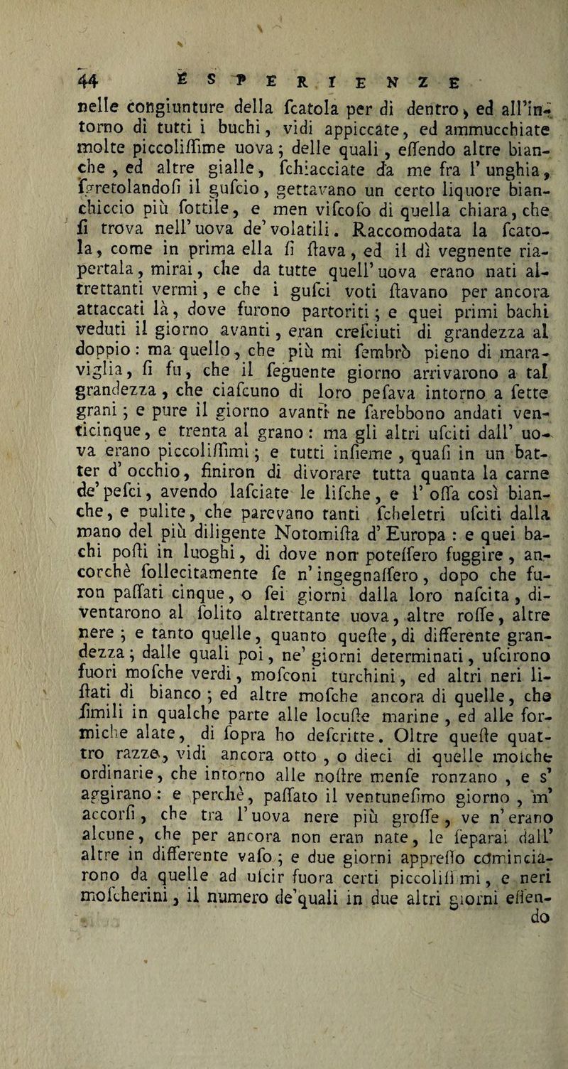 nelle congiunture della fcatola per di dentro > ed all’in- torno di tutti i buchi, vidi appiccate, ed ammucchiate molte piccoliffìme uova ; delle quali, effendo altre bian¬ che , ed altre gialle, fchiacciate da me fra V unghia, ìgretolandofì il gufcio, gettavano un certo liquore bian¬ chiccio più fottile, e men vifcofo di quella chiara, che fi trova nell’uova de7volatili. Raccomodata la fcato¬ la, come in prima ella fi fava, ed il dì vegnente ria¬ pertala , mirai, che da tutte quell’ uova erano nati al¬ trettanti vermi, e che i gulci voti (lavano per ancora attaccati là, dove furono partoriti; e quei primi bachi veduti il giorno avanti, eran crefciuti di grandezza al doppio: ma quello, che più mi fembrò pieno di mara- viglia, fi fu, che il feguente giorno arrivarono a tal grandezza, che ciafcuno di loro pefava intorno a fette grani ; e pure il giorno avanti ne farebbono andati ven¬ ticinque, e. trenta al grano : ma gii altri ufciti dall’ uo-^ va erano piccoliffìmi ; e tutti infìeme , quafi in un bat¬ ter d’occhio, finiron di divorare tutta quanta la carne de’pefci, avendo lafciate le lifche, e l’offa così bian¬ che, e pulite, che parevano tanti fcheletri ufciti dalla mano del più diligente Notomifta d’ Europa : e quei ba¬ chi pofi in luoghi, di dove non-poteffero fuggire, an¬ corché follecitamente fe n’ ingegnaffero, dopo che fu- ron paffati cinque, o fei giorni dalla loro nafcita , di¬ ventarono al folito altrettante uova, altre roffe, altre nere ; e tanto quelle, quanto quelle, di differente gran¬ dezza ; dalle quali poi, ne’ giorni determinati, ufcirono fuori mofche verdi, mofconi turchini, ed altri neri li- ftati .di bianco ; ed altre mofche ancora di quelle, che iimili in qualche parte alle locufle marine , ed alle for¬ miche alate,, di fopra ho defcritte. Oltre quelle quat¬ tro razze., vidi ancora otto , o dieci di quelle mofche ordinarie, che intorno alle noitre menfe ronzano , e s1 aggirano: e perchè, paffato il ventunefìmo giorno , m* accori!, che tra l’uova nere più groffe, ve n’erano alcune, che per ancora non eran nate, le feparai dall* altre in differente vafo ; e due giorni appreso comincia¬ rono da quelle ad uicir fuora certi piccolifì mi, e neri moli he ri ni, il numero de’quaii in due altri giorni effen-