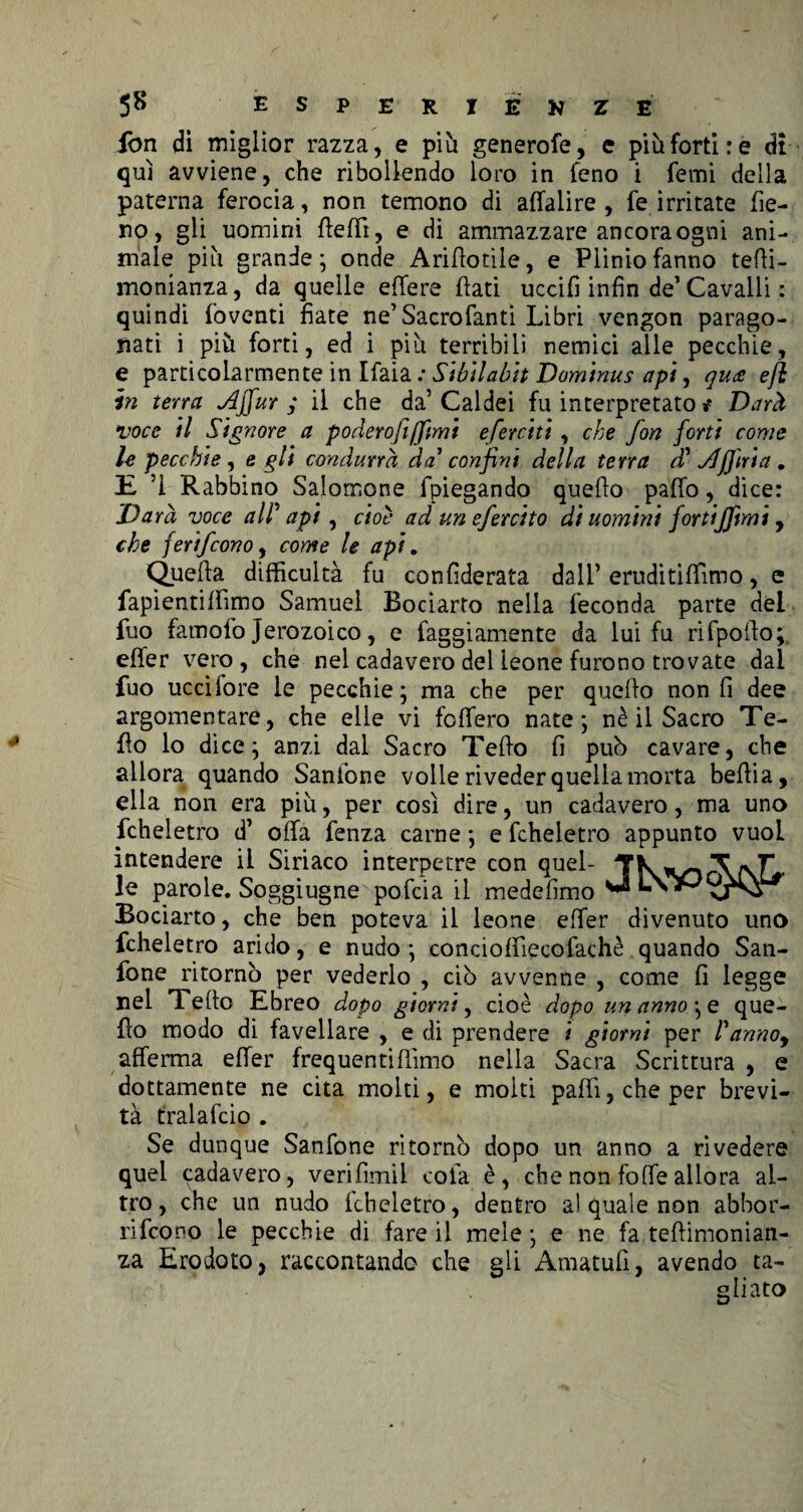 fon di miglior razza, e più generofe, e più forti: e di qui avviene, che ribollendo loro in feno i Temi della patema ferocia, non temono di affalire , fe irritate fie¬ no, gli uomini fleffi, e di ammazzare ancora ogni ani¬ male più grande; onde Ariffotile, e Plinio fanno tefli- monianza, da quelle effere flati uccifi infin de’Cavalli : quindi foventi fiate ne’Sacrofanti Libri vengon parago¬ nati i più forti, ed i più terribili nemici alle pecchie, e particolarmente in Ifaia ; Sibilabit Dominus api, qu<e efi hi terra Ajfur ; il che da’ Caldei fu interpretato i Darà voce il Signore a poderofijfmi eferciti, che fon forti come le pecchie, e gli condurrà da’confini della terra d’ udjjìri a. E ’i Rabbino Salomone fpiegando queflo paflò, dice: Da rà voce all5 api, cioè ad un efercito di uomini fortijfimi, che ferifcono, come le api. Quella difficultà fu confiderata dall’ erudìtifìfìmo, e fapientiflimo Samuel Bociarto nella feconda parte del fuo famofo Jerozoico, e faggiamente da lui fu rifpoflo; effer vero , che nel cadavero del leone furono trovate dal fuo uccifore le pecchie; ma che per queflo non fi dee argomentare, che elle vi foffero nate; nè il Sacro Te- flo lo dice; anzi dal Sacro Teflo fi può cavare, che allora quando Sanfone volle riveder quella morta beflia, ella non era più, per così dire, un cadavero, ma uno fcheletro d’ offa fenza carne ; e fcheletro appunto vuol intendere il Siriaco interpetre con quel- le parole. Soggiugne pofcia il medefimo Bociarto, che ben poteva il leone effer divenuto uno fcheletro arido, e nudo; concioffiecofachè quando San¬ fone ritornò per vederlo , ciò avvenne , come fi legge nel Teflo Ebreo dopo giorni, cioè dopo un annone que¬ flo modo di favellare , e di prendere i giorni per l’annoy afferma effer frequenti [fimo nella Sacra Scrittura , e dottamente ne cita molti, e molti paflì,cheper brevi¬ tà tralafcio . Se dunque Sanfone ritornò dopo un anno a rivedere quel cadavero, verifìmil cola è, che non foffe allora al¬ tro, che un nudo fcheletro, dentro al quale non abbor- rifcono le pecchie di fare il mele ; e ne fa teftimonian- za Erodoto, raccontando che gli Amatufi, avendo ta¬ rato S1