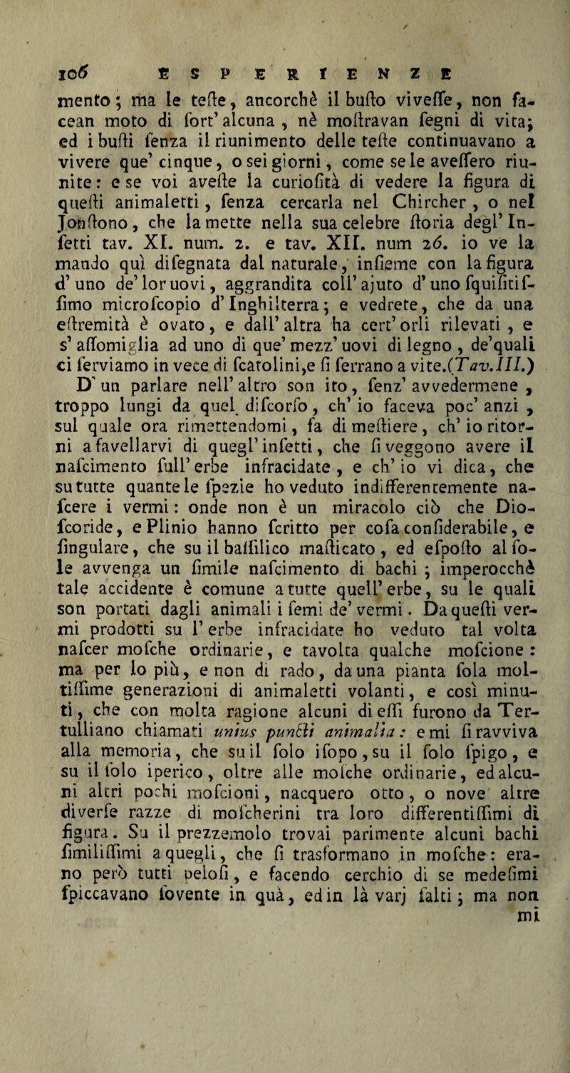 1 , IO# ESPERIENZE mento ; ma le tette, ancorché il butto vivefle, non fa- cean moto di fort’alcuna, nè mottravan fegni di vita; ed i butti fenza ilriunimento delle tette continuavano a vivere que’cinque, o sei giorni, come se le avellerò riu¬ nite : e se voi avette la curiotttà di vedere la figura di quelli animaletti, fenza cercarla nel Chircher , o nel Jonttono, che lamette nella sua celebre ttoria degl’in¬ fetti tav. XI. num. 2. e tav. XII. num 26. io ve la mando qui difegnata dal naturale, infieme con la figura d’uno de’loruovi, aggrandita coli’ajuto d’uno fquifiti fi- fimo microlcopio d’Inghilterra; e vedrete, che da una ettremità è ovato, e dall’altra ha cert’orli rilevati , e s’ attomiglia ad uno di que’ mezz’ uovi di legno , de’quali ci ferviamo in vece di fcatolini,e fi ferrano a vite.(TavJIL) D' un parlare nell’altro son ito, fenz’avvedermene , troppo lungi da quei di fico rfo, ch’io faceva poc’anzi , sul quale ora rimettendomi, fa di meftiere, eh’io ritor¬ ni a favellarvi di quegl’infetti, che fi veggono avere il nafeimento full’erbe infracidate, e ch’io vi dica, che su tutte quante le fpezie ho veduto indifferentemente na- feere i vermi : onde non è un miracolo ciò che Dio- feoride, e Plinio hanno fcritto per cofa confiderabile, e fingulare, che su il baffilico matticato , ed efpotto al fo¬ le avvenga un fimile nafeimento di bachi ; imperocché tale accidente è comune a tutte quell’ erbe, su le quali son portati dagli animali i Temi de’vermi. Da quelli ver¬ mi prodotti su l’erbe infracidate bo veduto tal volta nafeer mofche ordinarie, e tavolta qualche mofeione : ma per lo più, e non di rado, da una pianta fola mol- tiffime generazioni di animaletti volanti, e così minu¬ ti, che con molta ragione alcuni di etti furono da Ter¬ tulliano chiamati unius punèìi ammalia: e mi fi ravviva alla memoria, che su il folo ifopo,su il folo lpigo, e su il folo iperico, oltre alle molche ordinarie, edalcu- ni altri pochi mofeioni, nacquero otto , o nove altre diverfe razze dì moicherini tra loro differentittìmi di figura. Su il prezzemolo trovai parimente alcuni bachi limili flimi a quegli, che fi trasformano in mofche: era¬ no però tutti Delofi, e facendo cerchio di se medefimi fpìccavano lovente in qua, ed in là varj fai ti ; ma non