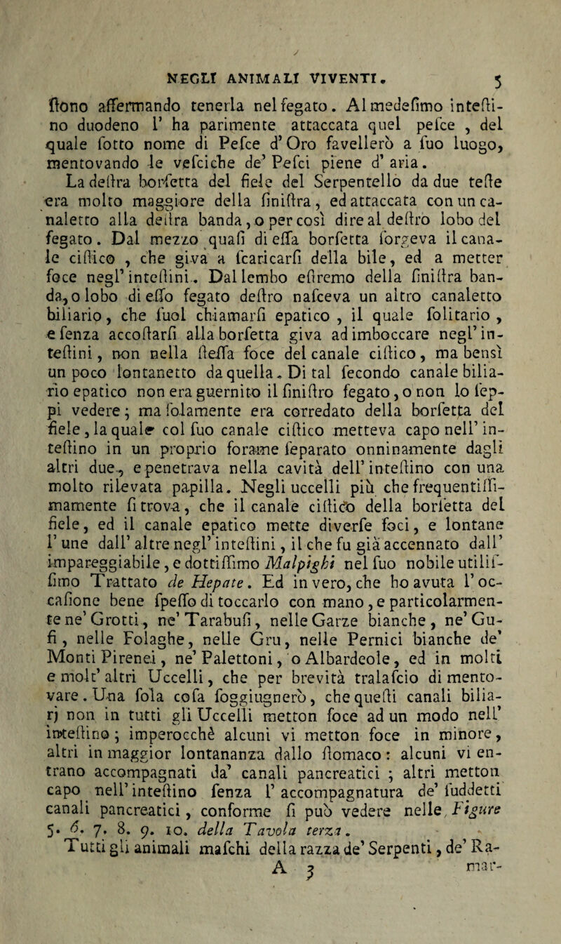 dono affermando tenerla nel fegato. Al medefimo interi¬ no duodeno V ha parimente attaccata quel peice , del quale fotto nome di Pefce d’ Oro favellerò a fuo luogo, mentovando le vefciche de’Pefci piene d’aria. La delira borsetta del fiele del Serpentello da due tede era molto maggiore della finifira, ed attaccata con un ca¬ naletto alla detira banda , o per così dire al deliro lobo del fegato. Dal mezzo quali di effa borfetta forge va il cana¬ le cidico , che giva a fcaricarfi della bile, ed a metter foce negl’intelìini. Dal lembo elìremo della fini lira ban¬ da, o lobo di elio fegato deliro nafceva un altro canaletto hiliario, che fiual chiamarfi epatico , il quale folitario , efenza accollarli aLla borfetta giva ad imboccare negl’in¬ terini, non nella lieffa foce del canale cillico, ma bensì un poco lontanetto da quella. Di tal fecondo canale bilia- rio epatico non era guernito il fìnirro fegato,o non io lep¬ pi vedere \ ma (blamente era corredato della borfetta del fiele , la quale col fuo canale cirico metteva capo nell1 in¬ terino in un proprio forame ieparato onninamente dagli altri due., e penetrava nella cavità dell5 interino con una molto rilevata papilla. Negli uccelli più che frequenti(fi- mamente fi trova, che il canale cinico della borfetta deL fiele, ed il canale epatico mette diverfe foci, e lontane fune dall1 altre negl’intefiini, il che fu già accennato dall1 impareggiabile, e dottiffimo Malpìghi nel fuo nobile utili fi- fimo Trattato de Hepate. Ed invero, che ho avuta l’oc- cafione bene fipeffo di toccarlo con mano, e particolarmen¬ te ne1 Grotti, ne’Tarabufii, nelle Garze bianche, ne’ Gu¬ fi , nelle Folaghe, nelle Gru, nelle Pernici bianche de’ Monti Pirenei, ne’ Palettoni, o Albardeole, ed in molti e molt’altri Uccelli, che per brevità tralascio di mento¬ vare . Una fola cofa foggiugnerò, che quelli canali bilia¬ ri non in tutti gli Uccelli metton foce ad un modo nell’ imefiino ; imperocché alcuni vi metton foce in minore, altri in maggior lontananza dallo fiomaco : alcuni vi en¬ trano accompagnati da’ canali pancreatici ; altri metton capo nell’interino fenza l1 accompagnatura de’ luddetti canali pancreatici, conforme fi può vedere nell q, ligure 5. b. 7. 8. 9. io. della Tavola terza. Tutti gli animali mafichi della razza de’Serpenti, de’Ra- A ^