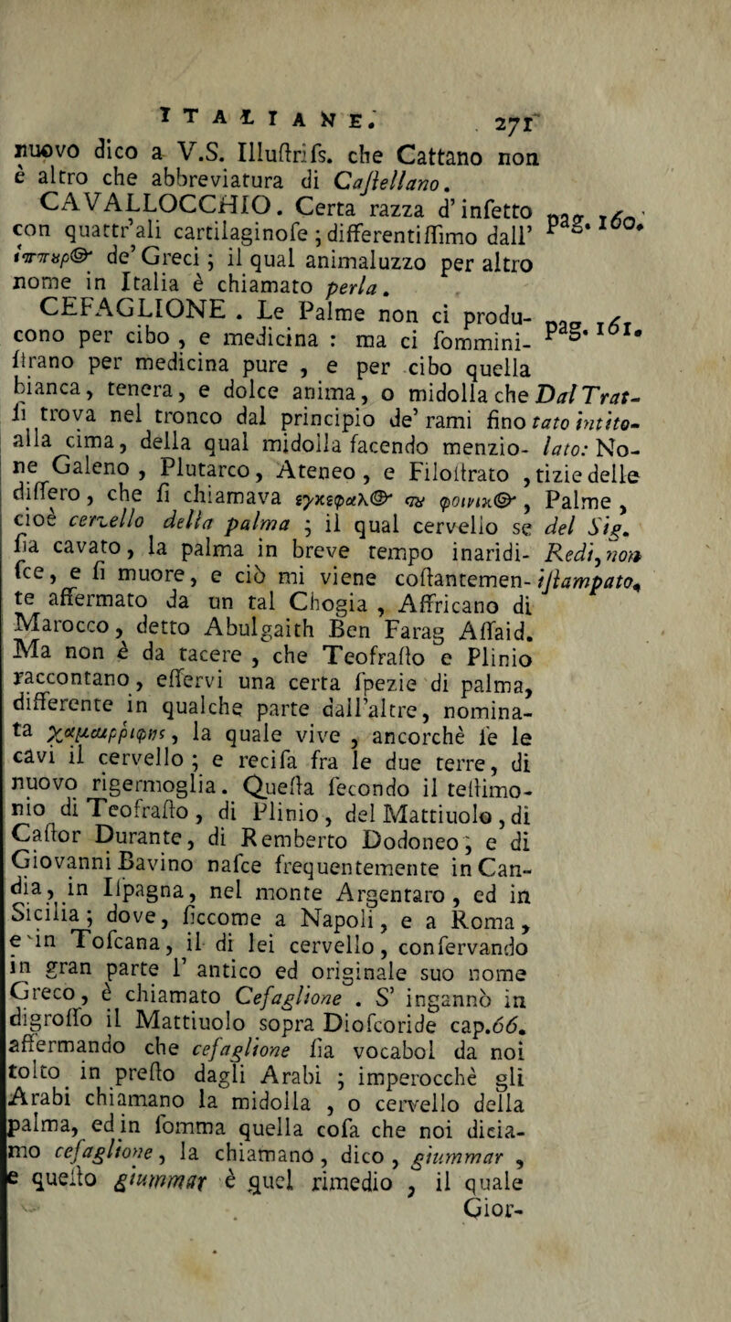 iiuovo dico a V.S. Iliuftrifs. che Cattano non è altro che abbreviatura c3i Casellario. CAVALLOCCHIO. Certa razza d’infetto con quattrali cartiiaginofe ; differentiflimo dall’ P # tvmtp& de Greci ; il qual animaluzzo per altro nome in Italia è chiamato perla. CEFAGLIONE . Le Palme non ci produ- naty cono per cibo ? e medicina r ma ci fommini- P * filano per medicina pure , e per cibo quella bianca, tenera, e dolce anima, o midolla che DalTrat- li trova nel tronco dal principio de’rami fino tato hitito- aìla cima, della qual midolla facendo menzio- lato: No- ne ^a^eno » Plutarco, Ateneo, e Filoitrato , tizie delle diffeio, che fi chiamava (poivixQy, Palme , cioè cervello delia palma ; il qual cervello se del Sii*. , cavato, la palma in breve tempo inaridi- Redigilo?* fce, e fi muore, e ciò mi viene cofiantemen- i/tampato, te affermato da un tal Chogia , Affricano di Marocco, detto Abulgaith Ben Farag Affaid. Ma non e da tacere , che Teofraflo e Plinio raccontano , effervi una certa fpezie di palma, differente in qualche parte dall’alt re, nomina¬ ta x«[ieuppi<?>vs, la quale vive , ancorché fé le cavi il cervello; e recifa fra le due terre, di nuovo rigermoglia. Quella fecondo il teflimo- nio di Teofraflo , di Plinio , del Mattiuolo , di Cafior Durante, di Remberto Dodoneo, e di Giovanni Bavino nafce frequentemente inCan- dia, in Iipagna, nel monte Argentato , ed in Sicilia ; dove, ficcome a Napoli, e a Roma , evin Tofcana, il di lei cervello, confervando in gran parte 1’ antico ed originale suo nome Greco , è chiamato Cefagitone . S’ ingannò in digroflo il Mattiuolo sopra Diofcoride cap.òò. affermando che cef agitone fia vocabol da noi tolto. in prefio dagli Arabi ; imperocché gli Arabi chiamano la midolla , o cervello della palma, ed in fomma quella cofa che noi dicia¬ mo cefagitone, la chiamano, dico, g'tummar , e quello giummat è quel rimedio , il quale Gi or-