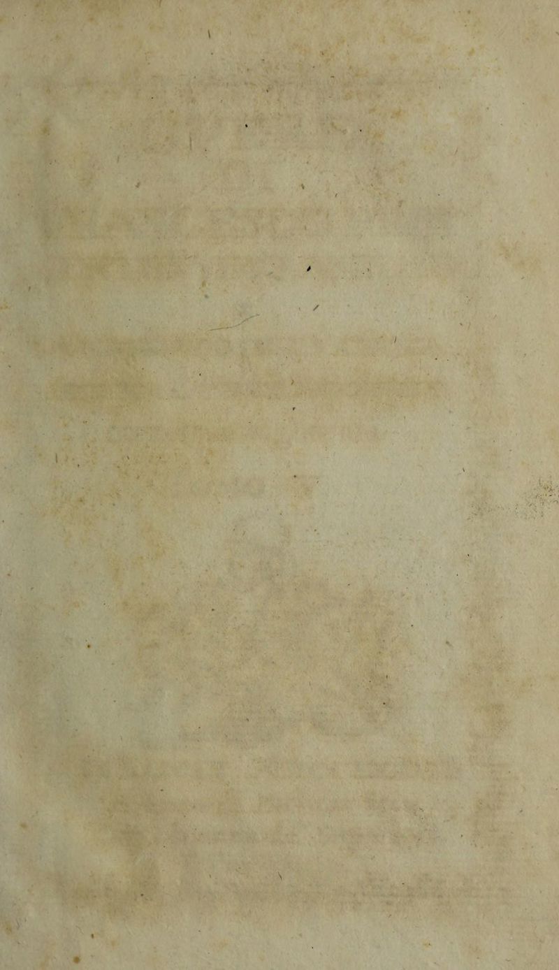 '* w ■. X *.N % ■ .‘v,. ■ ,’V •i . •'