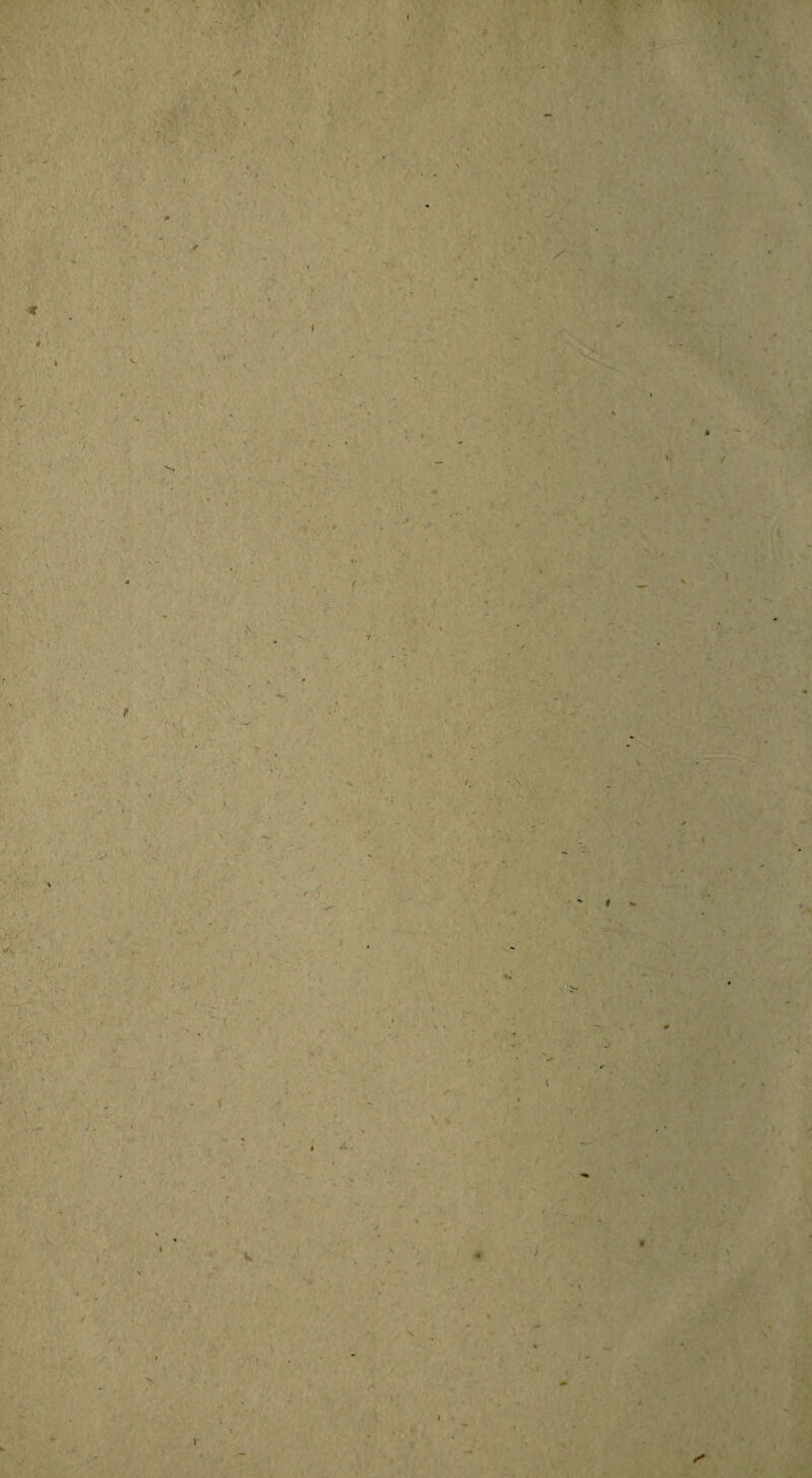 ✓ . ■l » I I ( . • , ' 4 .. 7 4/,. / •s ’J ' * fl \ . / i. , V l- t ■ <