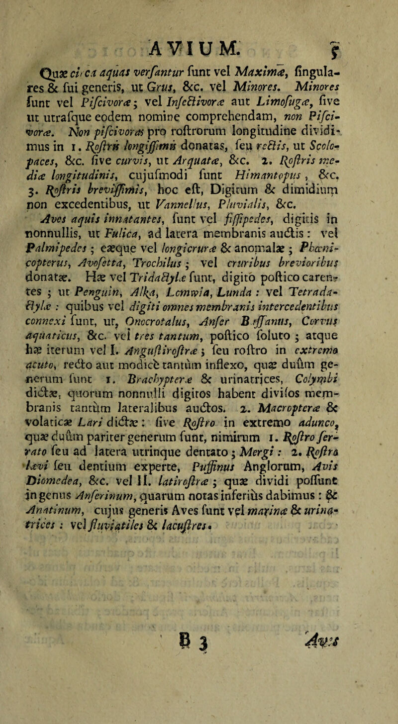 A VIU M. f Quae ch ca aquas verfantur fune vel Maxima^ lingula¬ res & fui generis, ut Grus, 8cc, V6l Minores, Minores funt vel Pifeivora; vel In/ciiivor£ aut Litnofugcc, five ut utrafque eodem nomine comprehendam, non Pifci~ ^ora. Non pifiivoras pro roftrorum longitudine dividi¬ mus in I. Bpftrfs lengiffimn donatas, feu reElis, ut Scolon facesy Scc. five curvis, ut Arquata, 8<c. l. l{pj}.ris ine¬ dia: longitudinis, cujufmodi funt Himantopus, ^c, 3. ^pflris hreviffimis, hoc eft, Digitum 8c dimidiurp non excedentibus, ut Vannellus, Pluvialis, &rc. Aves aquis innatantes, funt vel fiffipsdes, digitis in nonnullis, ut Fulica, ad latera membranis au(5tis : vel Palmipedes; eaeque vel longicrurce anomalae ; Pkccni- copterus, Avofetta, Trochilus ; vel cruribus brevioribus donata. vel TridaByLe funt, digito pofticocaren? res ; ut Penguin, All^a, Lemma, Lurida : vel Tetrada- ByliC : quibus vel digiti omnes membranis intercedentibus connexi funt, ur^ Onocrotalus, Anfer B fffanus, Corvus aquaticus, 8cc. vel tres tantum, poftico foluto 3 atque hae iterum vel I. Anguflirojlra; feu roftro in extremo acuto, redlo aut modicb tantiim inflexo, quae duiim ge¬ nerum funt I. Brachypter.e 8c urinatrices, Colyiyibi didlaz, quorum nonnulli digitos habent divifos mem¬ branis tantum lateralibus audtos. 2. Macroptera & volaticae Lrfr/didVae: live Bpftro in extremo adunco^ quae dqum pariter generum funt, nimirum i. Bpjlro fer¬ rato feu ad latera utrinque dentato; Mergi : 2. Roftro d-avi feu dentium experte, Puffinus Anglorum, Avis Diomedea, Scc. vel il. latircflne ; quae dividi poffunt in genus Anferinum, 0yiRr\xm notas inferius dabimus : Anatinum, cujus generis Aves funt vel marina ^ urina- trices i vel fluviatiles lacufires<t