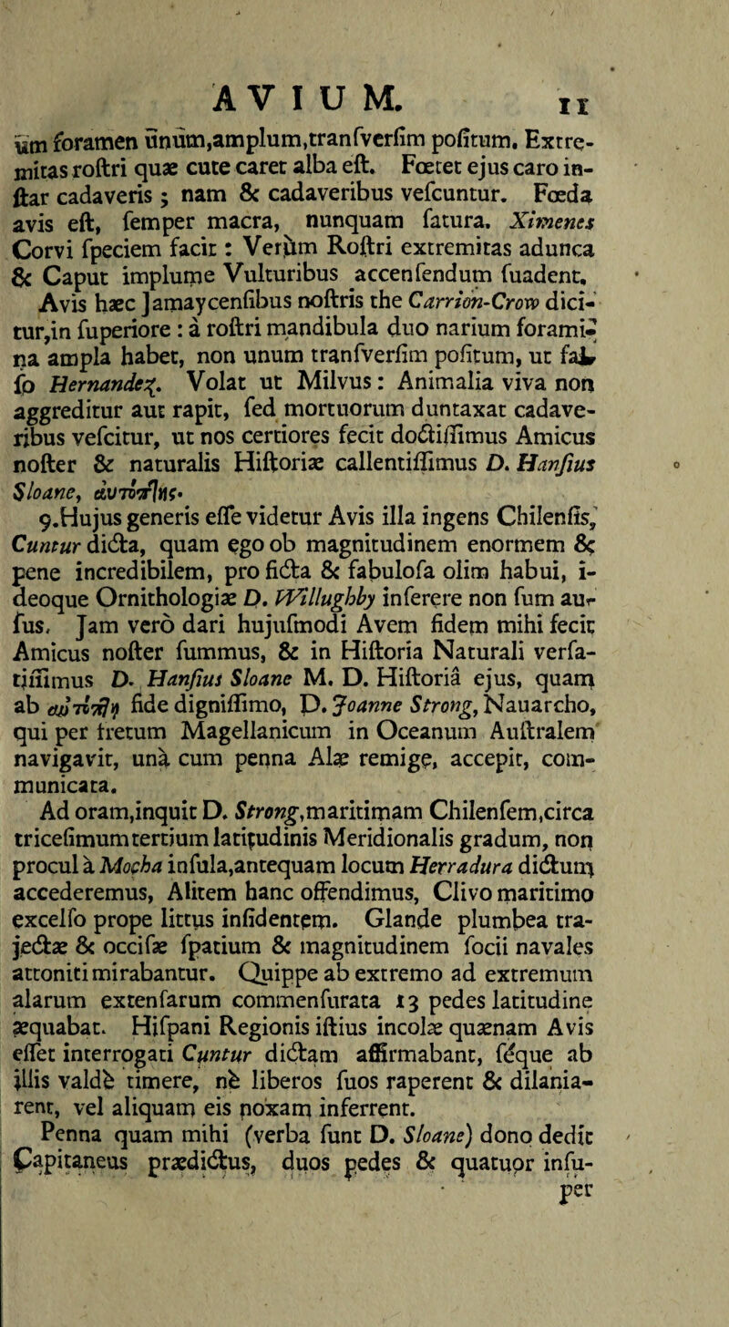 um foramen unum,amplum,tranfvcrfim pofitum. Extre¬ mitas roftri quae cute caret alba eft. Foetet ejus caro in- ftar cadaveris ; nam & cadaveribus vefcuntur. Foeda avis eft, femper macra, nunquam fatura. Ximenes Corvi fpeciem facit: Verjim Roftri extremitas adunca 6c Caput impluipe Vulturibus accenfendum fuadent. Avis haec Jamaycenlibus noftris the Carrion^Croxo dici¬ tur,in fuperiore : a roftri mandibula duo narium forami^ na ampla habet, non unum tranfverlim pofitum, ut faJL- fp Hernande:{, Volat ut Milvus: Animalia viva non aggreditur aut rapit, fed mortuorum duntaxat cadave¬ ribus vefcitur, ut nos certiores fecit dodliftimus Amicus nofter & naturalis Hiftoriae callentiflimus D. Hanfius ^loanCy rtUTccflwf* 9.Hujus generis efle videtur Avis illa ingens Chilenfis,’ Cuntur didta, quam ego ob magnitudinem enormem 8? pene incredibilem, pro fidfa & fabulofa olim habui, i- deoque Ornithologiae £). PVillughby inferere non fum aur fus. Jam vero dari hujufmodi Avem fidem mihi fecit Amicus nofter fummus, & in Hiftoria Naturali verfa- tiiiimus D. Hanfius Sloane M. D. Hiftoria ejus, quarn ab dfiiiTrJtf fide digniflimo, D. Joanne Strong^ Nauarcho, qui per tretum Magellanicum in Oceanum Auftralem navigavit, una cum penna Al^ remige, accepit, com¬ municata. Ad oram,inquit D. maritimam Chilenfem,circa tricefimum tertium latftudinis Meridionalis gradum, non procul a Mofha infula,antequam locum Herradura didlum accederemus, Alitem hanc offendimus, Clivo maritimo excelfo prope littus infidentem. Glande plumbea tra- jedlrae 8c occifse fpatium & magnitudinem focii navales attoniti mirabantur. Quippe ab extremo ad extremum alarum extenfarum commenfurata 13 pedes latitudine aequabat. Hifpani Regionis iftius incolae qusenam Avis eflet interrogati Cuntur dicftam affirmabant, fdque ab illis vald^ timere, liberos fuos raperent & dilania¬ rent, vel aliquam eis poxam inferrent. Penna quam mihi (verba funt D. Sloane) dono dedit Papitaneus praedidtus, duos pedes & quatupr infu- per