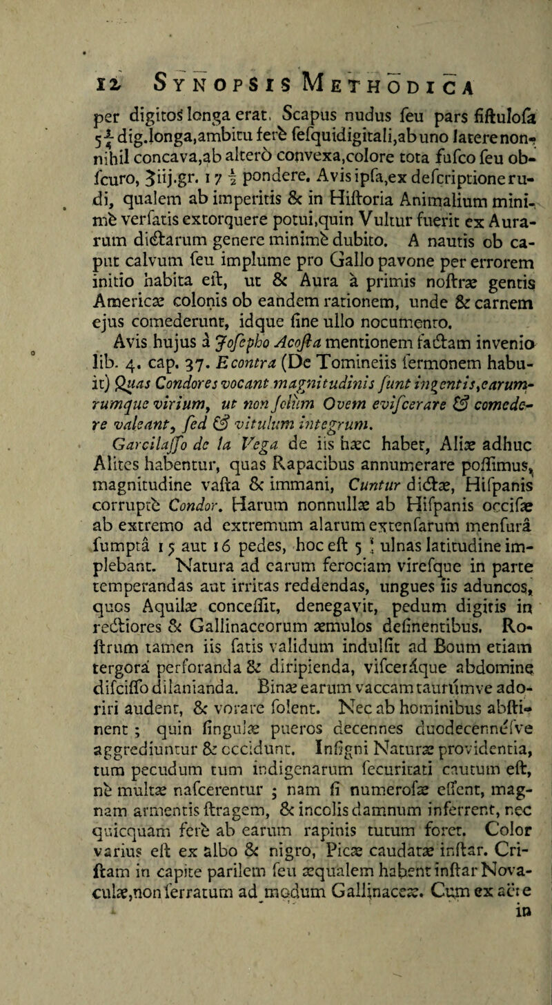 per digito^ longa erat, Scapus nudus feu pars fiftulofa 5^ dig.longa,ambitu ferb refquidigitaIi,abuno latere non¬ nihil concava,ab altero convexa,colore tota fufco feu ob- fcuro, ^iij.gr. 17 i pondere. Avis ipfa,ex defcriptione ru¬ di, qualem ab imperitis & in Hiftoria Animalium mini¬ mi ver fatis extorquere potui,quin Vultur fuerit cx Aura¬ rum di(£l:arum genere minimi dubito. A nautis ob ca¬ put calvum feu implume pro Gallo pavone per errorem initio habita eit, ut 8c Aura a primis noftrae gentis Americae colonis ob eandem rationem, unde & carnem ejus comederunt, idque fine ullo nocum.enro. Avis hujus d Jofipho Acofta mentionem fadlam invenia lib. 4. cap. 37. E contra (Dc Tomineiis fermonem habu¬ it) Quas Condor es vocant magnitudinis fiint ingenti s^earurn- rumque virium, ut non Jclum Ovem evifcerare comede^ re valeant^ fed & vitulum integrum. Garcilaffo de la Vega de iis hsec habet, Alice adhuc Alites habentur, quas Rapacibus annumerare pofiimus,, magnitudine vafta 8c immani, Cunttir didite, Hifpanis corruprb Condor, Barum nonnullae ab Hifpanis orcifa? ab extremo ad extremum alarum extenfarum menfura fumpta 15 aut 16 pedes, hoceft 5 l ulnas latitudine im¬ plebant. Natura ad carum ferociam virefque in parte temperandas aut irritas reddendas, ungues iis aduncos, quos Aquila? conceflit, denegavit, pedum digitis in redliores Gallinaceorum aemulos delinentibus. Ro- ftrum tamen iis fatis validum indulfit ad Boum etiam tergorai perforanda & diripienda, vifcerdque abdomine difcilfo dilanianda. Bina? earum vaccam taunimve ado¬ riri audenr, 8c vorare folent. Nec ab hominibus abfti- nent ; quin fingul?? pueros decennes cluodecennelve aggrediuntur 8? occidunt. Infigni Naturae providentia, tura pecudum tum indigenarum fecurkati caucum eft, nb multa? nafcerentur ; nam fi numerofa? effent, mag¬ nam armentis ftragem, & incolis damnum inferrent, nec quicquam ferb ab earum rapinis tutum forer. Color varius eft ex albo Sc nigro, Pies caudatae inftar. Cri- ftam in capite parilem feu aequalem habent inftar No\’a- culae,nonferratum ad modum Gallinaceae. Cum ex acie