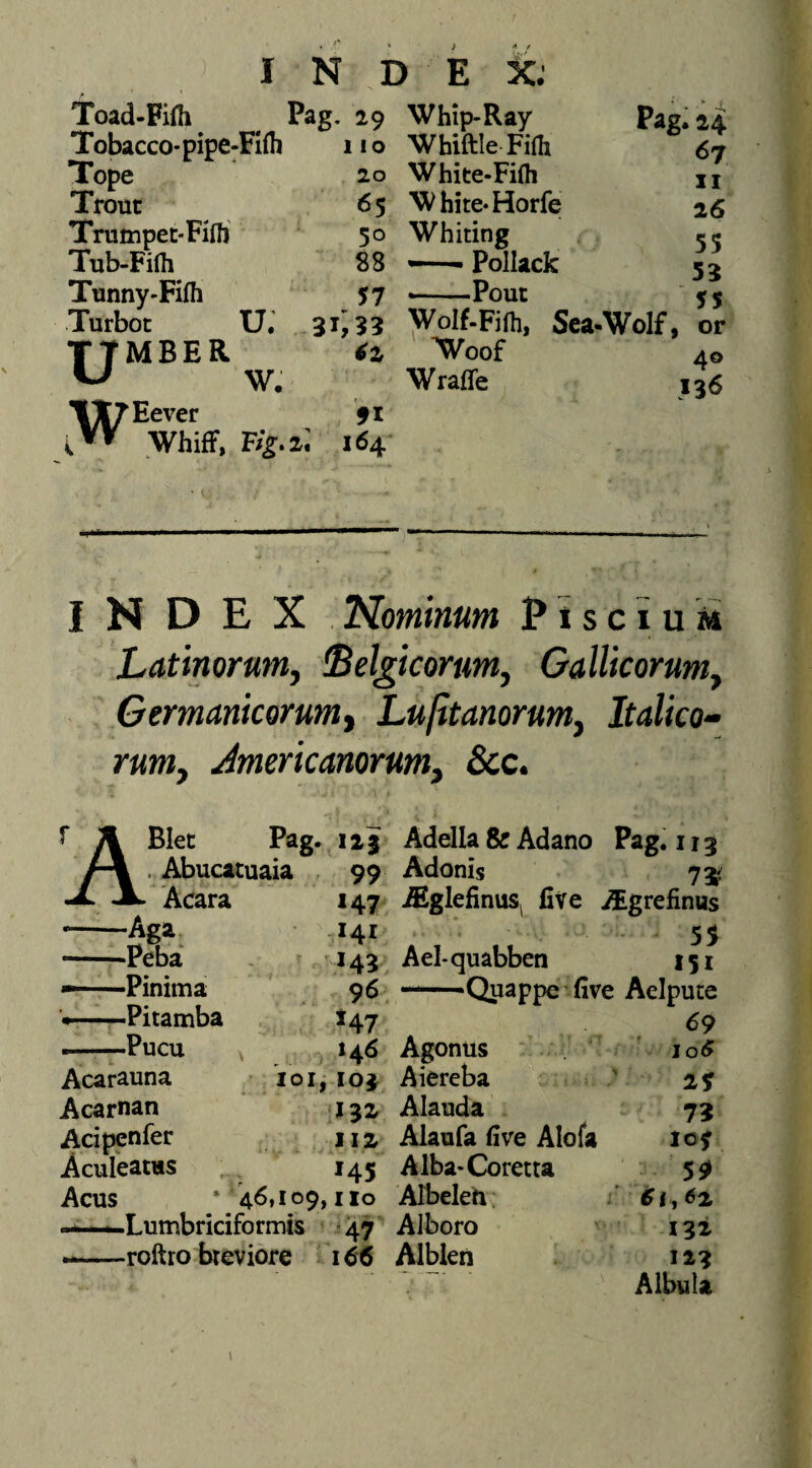 4** I N D E jC. Toad-Fifli ^ Pag, 29 Tobacco* pipe-Filh 11 o Tope 20 Trout 65 Trumpet-Finj 50 Tub-Fifli 88 Tunny-Fifh 57 Turbot U.' 3T,33 UMBER W. ll/Eever 91 ” WhifF, Bg.i: 164 Whip-Ray WhiftleFilh White-Fifli White^Horfe Whiting —— PoIIack *-Pout Wolf-Filh, Sea-Wolf, ^oof Wraffe Pag. 24 <57 II 26 55 53 55 or 40 >36 INDEX Hominum Piscium Latinorum, Belgicorum, Gallicorum, Germanicorum, Lufitanorum, Italico» rum, Jmericanorum, &c. r A Blet Pag. 113 Adella&Adano Pag. 113 . Abucatuaia . 99 Adonis 75^ Acara 147 ,ffiglefinus^ five AEgrefinus -Aga^ 141 55 -Peba ' *43 Ael-quabben 151 *—Pinima 96 —«Quappe five Aelpute Pitamba 147 ^9 --Pucu ^ 146 Agonus Io<5 Acarauna loi, 103 Aiereba ' 29 Acarnan 132 Alauda 7g Acipenfer 112 Alaufa five Alofa 10 j Aculeatus 145 Alba-Coretta 59 Acus ‘ 46,109,110 Albeleft; i’ 61,62 -Lumbriciformis • «47 Alboro 132 ..—roftro breviore 166 Alblen 123 Albula 1