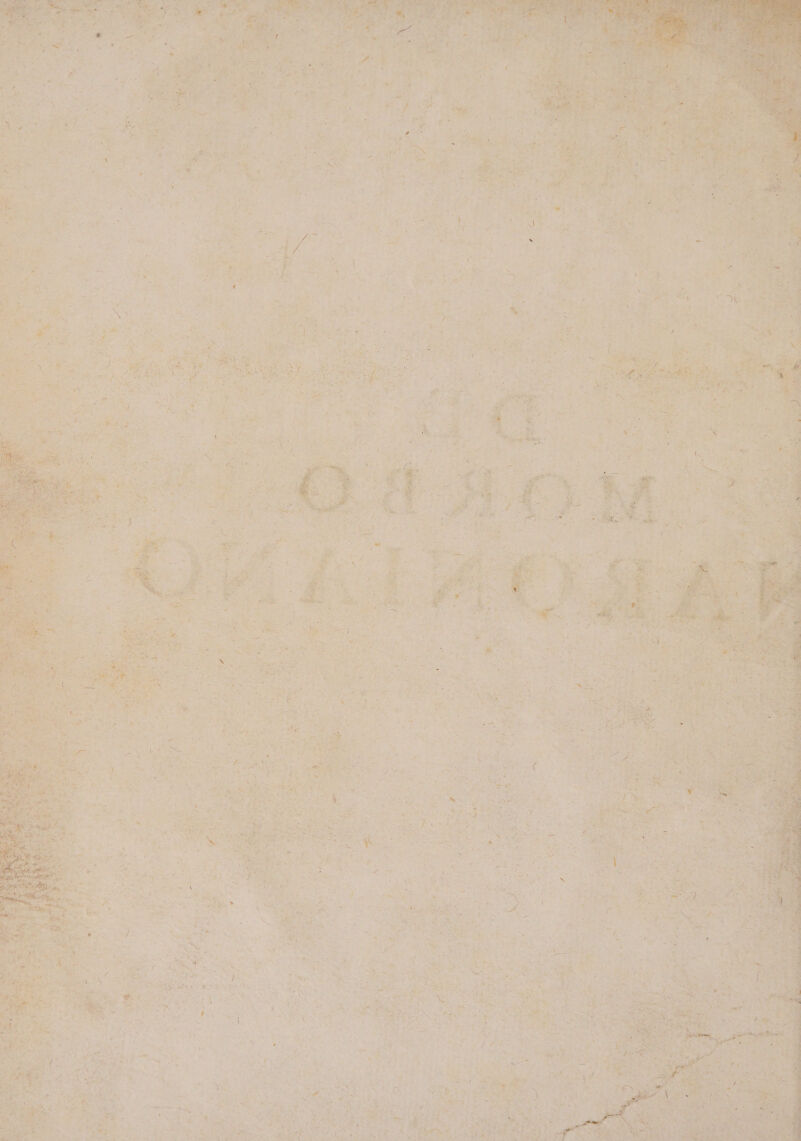 T 4 - EN [£; ^ px NY b heiters o