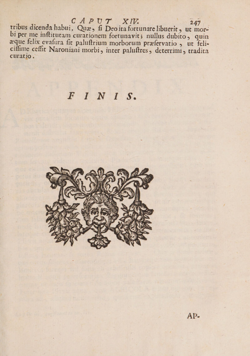 tribus dicenda habui, Quz, fi Deoita fortunare libuerit ut mor- bi per me inftitutam curationem fortunavit; nullus dubito quin eque felix evafura fit paluftrium morborum prafervatio , ut feli- ciffime ceffit Naroniani morbi , inter paluftres ) deterrimi j tradita curatio. AP-