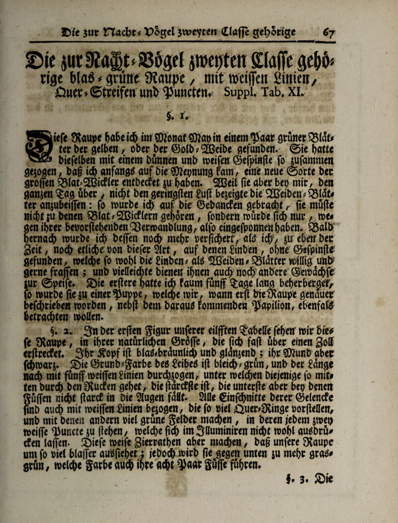 Sie }tic3ia§t*S86gel peptert Klaffe ge&6= rige blaö * grüne 9?attpe,• mit weiften ßinietr, öuet * ©treifen uni Amteten»- Suppi. Tab, XL §, i. tÄfiiefe Staupe habe ich im Shionat SOla» in einem <53aat grüner Q5lät* ttaQ (et bet selben, ober bet @olb * SSBeibe gefunben. ©ie batte >32» biefelben mit einem bünrtün unb weifen ©efptnffe fo jufatnmen gezogen, baff ich anfangs auf Die g^epnung fam, eine neue ©orte bet Stoffen 25lat>2Bicfler entbecfet $u haben. 2Beil fte aber bet) mit , ben gan$en§:ag übet, nicht ben geringen £uff bejergtebie 2Beiben*QM<ft* tet anjubeiffen: fo würbe ich auf bit ©ebancfen gebracht, fte müfle nicht ju benen QMat» 2Bicflern geboren, fonbertt würbe (ich nur, we» gen ihrer beoorffebetiben Cßerwanblung, alfo eingefpontteh haben. S&alb hernach würbe ich beffen noch mehr »erfuherty als ich, p eben Der Seit, noch etliche »on biefer 2lrt, auf benen Sinben, ohne' ©«fpinffe1 gefunben, welche fo wohl bie Stoben* als Sßeiben> glätter willig unb gerne fraffen; unb »ielleichte bienen ihnen auch noch’ anbere ©ewächfe tut ©peife. Sie erftere hatte ich faum fünff $age lang beherberget/ fo würbe fte ju einer^>uppe, welche wir, wann erg btefRaupe genauer betrieben worben, nebfl Dem Daraus fomtnenbeu $apilion, ebenfalS betrauten wollen. ; 0 / §. a. 3n ber erffen Sigur unferer eilfften Tabelle feben wir bie# fe Ütaupe, in ihrer natürlichen ©räffe, bie ftch faft über einen Soll erftrecfet. Shc &opf iff blae<braunlid> unb glanjenb; ihr ®Junb aber fchwarj. Sie @runb«garbe beß SeibeS iff bleich • grün, unb ber fange nach mit fünff wciffen Sintert burchjogen, unter welchen Diejenige fo mit* ten burch benütucfen gehet/ bieffdrcfffeiff, Die unterffe aber bet) benen güffen nicht ffarcE in Dte 2lugen faßt. Sille ©nfchnitte Derer ©elencfe finb auch mit weiffen finien bepgen, bie fo »iel £per<Dlinge »orffetlen, unb mit benen anbern »iel grüne gelber machen, in beten jebem jwen weiffe ffJuncte ju flehen, welche ftch im Slluminiren nicht wohl ausbrü* cfen taffen. Siefe weife Sietrathen aber machen / baff unfere Otaupe um fo »iel blaffet ausfiebet; jeDodh wirb fte gegen unten ju mehr gras» grün, welche §arbe auch ihre acht $aar Söffe führen. $. 3. Sie