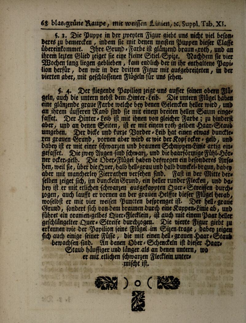 5. j. Sie ^uppe in her jwepten Sigur giebt und nicht viel befon« bered ju bemetcfen, intern fte mit benen nteiften puppen biefer ©affe fibereinfommet. 3ff>re @runb«Satbe ift gldnjenb braun «,roth, unb an ihrem lejten ©lieb jeiget (ie eine Heine 0tieb0pije. «Halbem (te Pier SOBochen lang liegen geblieben, ram enblich ber in ihr enthaltene $api* lion herfur, ben mir in ber britten Sigur mit audgebceifeten , in ber eierten aber, mit gefcbtoffenen Slugein für und fehet}. $. 4. ©erfliegenbe ^apifien jeigtund auffer feinen obern flü* Sein, auch bie untern nebfi bem hinter * £eib- ©ie untern Slügel haben eine gldnjenbe graue Serbe welche ben benen ©elencPeh heller wtcb, unb an ihrem dufferen fftaob ftnb fte mit einem breiten hellen «Saum einge« faffet, ©et «hinter > £eib ift mit ihnen non gleicher Serbe; ju binberft aber, unb an betten ©eiten, ift er mit einem roth gelben ©aar«©faub umgeben. ©et biefe unb f urje Q3orber «£eib hat einen etwad bunefle» ren grauen ©rmtb, »ortten aber mirb er wie ber Äopf ortet * gelb, unb babep ift er mit einer feftroarjen unb braunen ©chnippen«£inte artig ein« gefaxt, ©ie jwep 2lugen ftnb febwarj, unb bie haärfdrmige Sühl<#öt« ner Orter«gelb. ©ie Qbec«Slü0et haben bedwegen ein befonbered $ttfe» hen, weil fte, über bie Quer,halb betrau tittb halb bunrtel*braun, haben aber mit mancherlei 3«errathen »erfehen ftnb. gaff in ber SÖliffe ber« felben jeiget (ich, im bunrteln@runb, ein heller runter Slertett , unb ba« ben ift er mit etlichen fchwarjen audgefappten Quer« Streifen burch« logen, auch laufft er nornen an her grauen ©elffte biefer Slugel herab, »ofelbft er mit »ier weifen ^uncten befprenget ift. ©et hell «graue @runb, fonbert ftd) non bem brauneniurch eineÄappen*£ittieab, unb führet ein oraniemgelbed Quer«Slecftein, ift auch mit einem «JJaar heiler gefdhldttgelter Quer« (Streife burchjogen. ©ie niette Sigur giebt ja «trennen wie ber ^apilion feine Slügel im «Sijenftage, haben jeigen ftch auch einige feiner Suffe, bie mit einen hell < grauen .f>aar« ©taub hewadhfen ftnb. 2ln benen Ober«©chenrteln ift biefer ©aac* ©taub hduffiger unb länger, ald an benen unfern, wo er mit etlichen fchwarjen Slertlein untet«