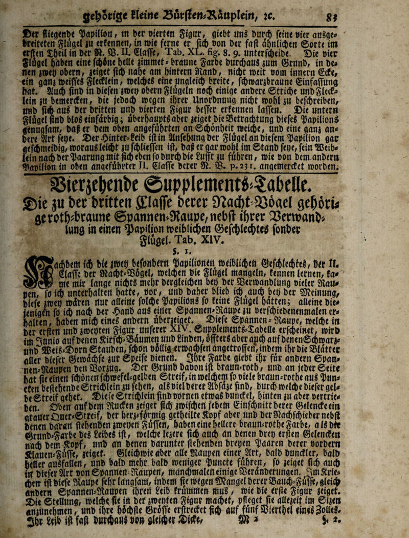 ©er fltegenbc ^apilfott, ttt ber m'erten Stönr, gtebt un$ burch feine m'er au§ge* breiteten glügel iu ctfennen, tn rnie ferne er fich non ber faft ähnlichen ©orte im crßen ifeeil in ber §1. 58. II. SlafTe, Tab. XL. fig. 8.9. unterf&etbe. Bie oiec Slügel Ijaben eine fällte belle jimmet* braune garbe burchau* 3um ©rimb, in be« nen i»eo Obern, geiget fi# nabe am bintern Sftanb, nicbt mit oom innern €cfe, ein ganjnmffeSgletflein, n>elc&eB eine ungleich breite, fcbrcarjbraune (SinfafTung hat. 2luc& finb in biefen gn>et> Obern Slugein noch einige anbere ©triebe unbglccL lein 3t! bemerken, bie jeboch menen ihrer Unorbnuug nicht roohl 3» betreiben, UHb fiih au$ ber britten unb inerten gigur befier ernennen laffen. Bie unter» glfigelfinb bloß einfarbig; ubcrhauptSaber geiget bie Betrachtung biefei <)Japilion$ genugfam, baf er bem oben angeführten an©cbonbeit meicbe, unb eine gan3 an« bere 3lrt fepe. 3>cr#ütter4eib ifl in 3lnfehungber glügel an biefern Uapilton gae gefdbmeibtg, roorauä leicht m fc&lufien ifi, baf er gar toobl im ©tanb fette, fein ® eib- iein nach ber Paarung mit fub eben fobureb bie £ufft 31t fuhren, nnc bon bem anberti foapüton in oben angeführter II. (Stoffe berer $1.58. p.2?i. angemerefet morbern SBierjcbcnbe ©upplementS>?abellc. £rie 311 £>er britten fiCIaflfe berer ÜZacbt 33öqel geb6cü se rotbraune ©pannen*$aupe/ tiebft ifjrer Q3eman&* tuna in einen 'jJaptlion toeibiic&en ©efri&Uc&ttfi fonbec glufiel. Tab, XIV. $, I. :<ttfi6ertt i<b bte j»et) befonbertt Uapiiioneti, töeibti<??efi ©efc&letbfel, 6(t 1I. klafft 6« 9la(bt*2ßügel, mtlcpen Bie glugel mangeln, fennen lernen, fa* wv_ me mir lange nichts mehrBcrgleicßen bet) bebsBermanbiimg oieler 3tau« «cn, fo ich unterhalten hatte, öor, unb bähet blieb ich,auch bet) ber Meinung, blefe jwep wären nur aßeine folcpe 'paptliönS fo feine ginget hatten; aßeine bie. ientafn fo i(h nach ber -5>anb aus einer ©pannen>3taupc ju oerfcbiebenenmalen er« halten, haben mich eines anbern überjeiget. ®iefe Spannen* Staupe, welche in ber erflctt unb jwepten gigur nnferer XIV. ©tippletnents*tabeße erfebeinet, wirb im Nantes auf beiten Jt’irfch>58üumen itttb Stoben, offterS aber auch auf benenScSwarj* unb ®eiS*©orn ©tauben, fefeon »ißig erwatofert angetroffen, intern ihr bie SBlcfttec Atter biefer ©ewücbfe jut ©p.eife btenen. 3hte garbt giebt ihr für anbern ©pan» nen>9taupen ben Sßorjng. ©er ©rtinb baooniff braun,rotb, nnb an fetter ©eit« hat ftc einen fcbbnenfcb»efel*gelben ©treif,in welchem fo Biele braun,rotbe aus <pun* cten befiehenbe ©triileinju feben, alsBielberer Stbfaje finb, fcurchwelche biefergel< be ©tretf gehet. ©iefe ©trieblein ftnb nornen etwas buncfel, hinten ;tt aber oertrie« ben. dbetr auf bem Stucfen jeiget fid) jwiftbeft febem @infcf)mtt berer ©elencfeetn «rauerßner*©tfeif, ber herj,fbrntig getheilte Kopf aber nnb berSfiacbfebiebernebft benen batan ffehenben itoepen güffen, haben eine heflere braun,rothegarbe, als Mt Örunbtgfltbe beS SetbeS iji, »eiche leiere fich auch an benen brep erffen ©elencfett nach bem Sfopf, unb an benen barunter flehenben brepen 'paaren berer uorbern SElanen^gülTe, jtiget. ©Icichroie aber afle Staupen einer Slrt, balb buncflcr, halb heßer ausfaßen, unb halb mehr balb weniger >i)Uncte fuhren, fo jeiget fich auch itr biefer 2lrt ton ©pannett,Staupen, manchmalefleimgeSBeranberttngen. ymStrie* djetr ifl btefe Staupe fehr langfani, tnbem fie »egen Mangel berer Sau<h,güjTe, gleich anbern ©pannemStaupen ihrert £eib frtunmen mnS, wie bie erfie gignr jeiget. ©ie Stellung, weicht fie in ber swetifen gtgur machet, pfiegetjie dßejeit im ©ije« amunebmen, unb ihre häufle ©riffe erfireefet fiep auf fünf SBierthel eines 3oß<3‘ Sht Seih ifi faß buretaut pp» gleitet SK * $< u