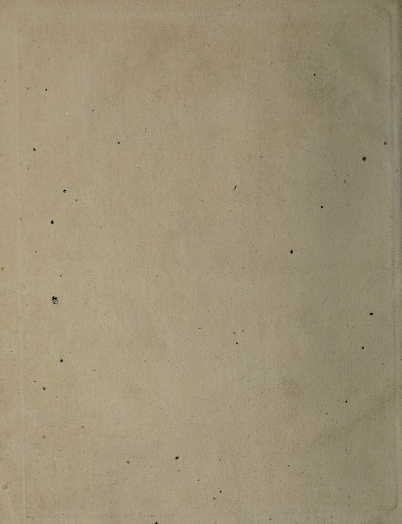 / % / * \ / •V'i r < -» / - vV5 ./ ■ V * , \ ) I 4 ♦ < i r e * 4 .ä \